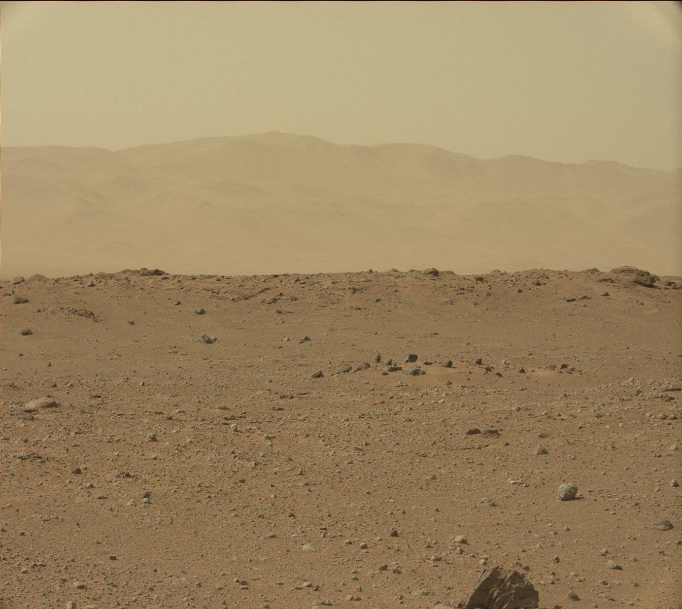 Nasa's Mars rover Curiosity acquired this image using its Mast Camera (Mastcam) on Sol 384