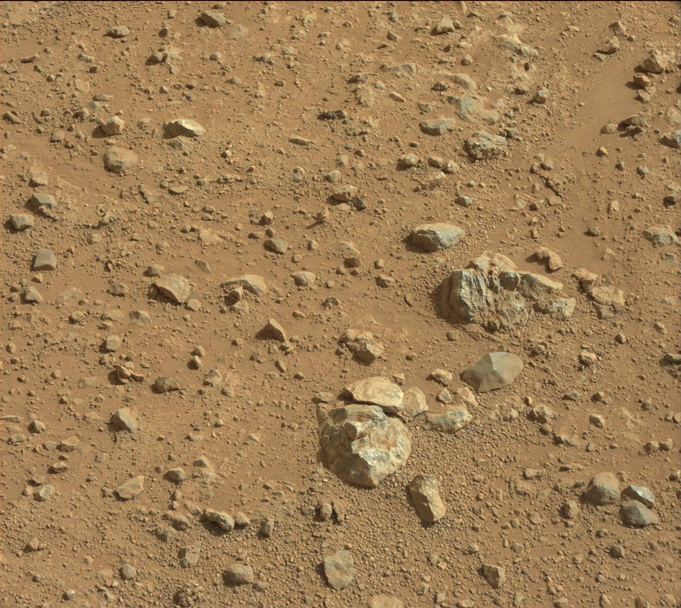 Nasa's Mars rover Curiosity acquired this image using its Mast Camera (Mastcam) on Sol 384