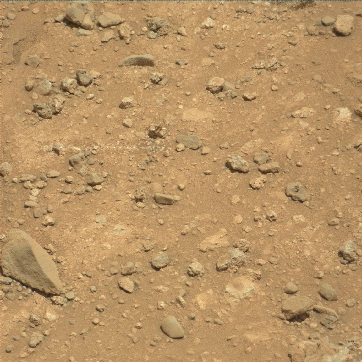 Nasa's Mars rover Curiosity acquired this image using its Mast Camera (Mastcam) on Sol 386