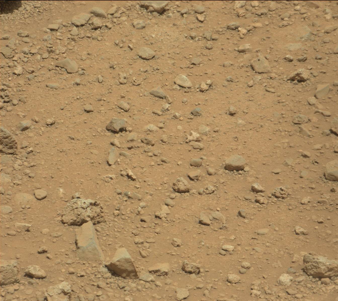 Nasa's Mars rover Curiosity acquired this image using its Mast Camera (Mastcam) on Sol 390
