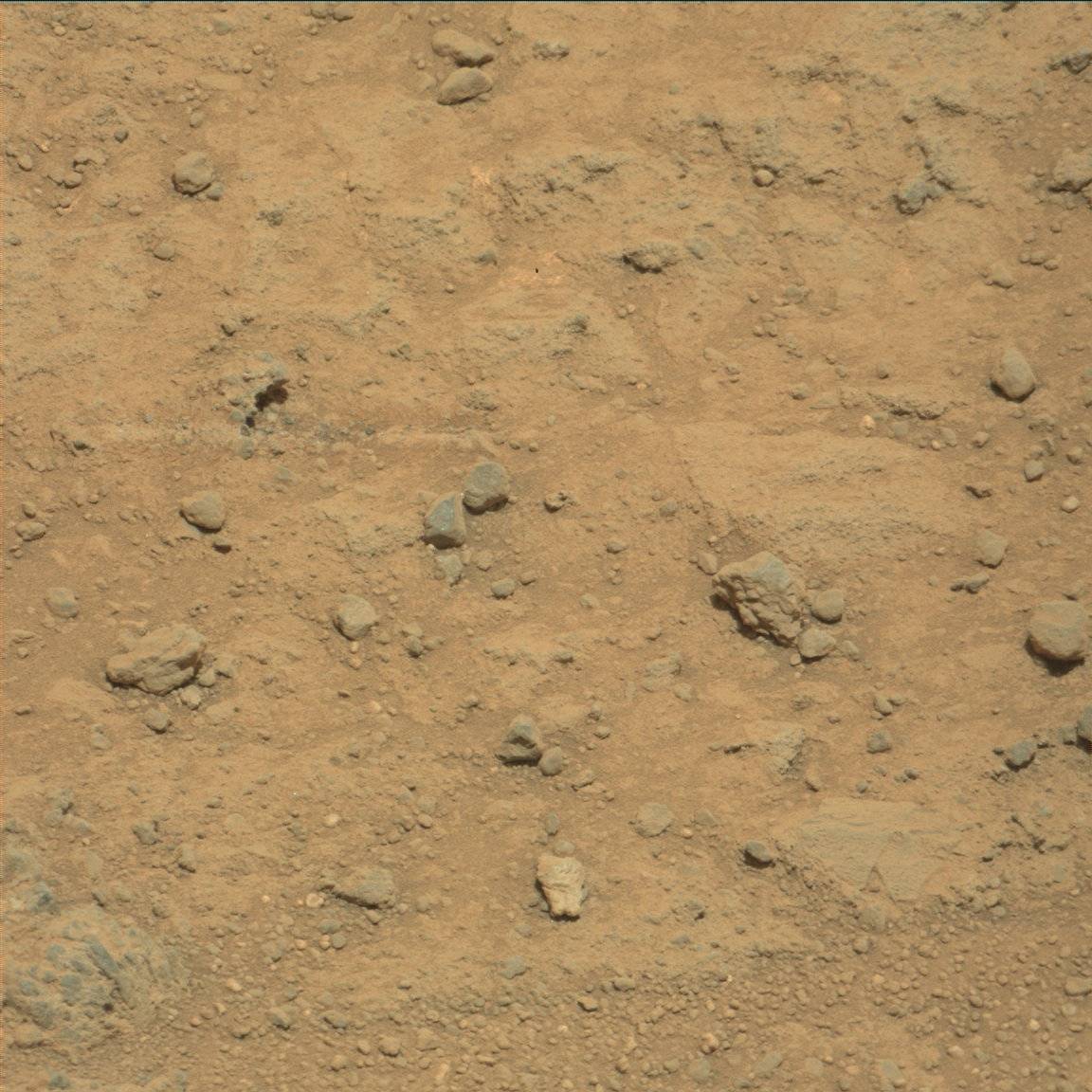 Nasa's Mars rover Curiosity acquired this image using its Mast Camera (Mastcam) on Sol 391