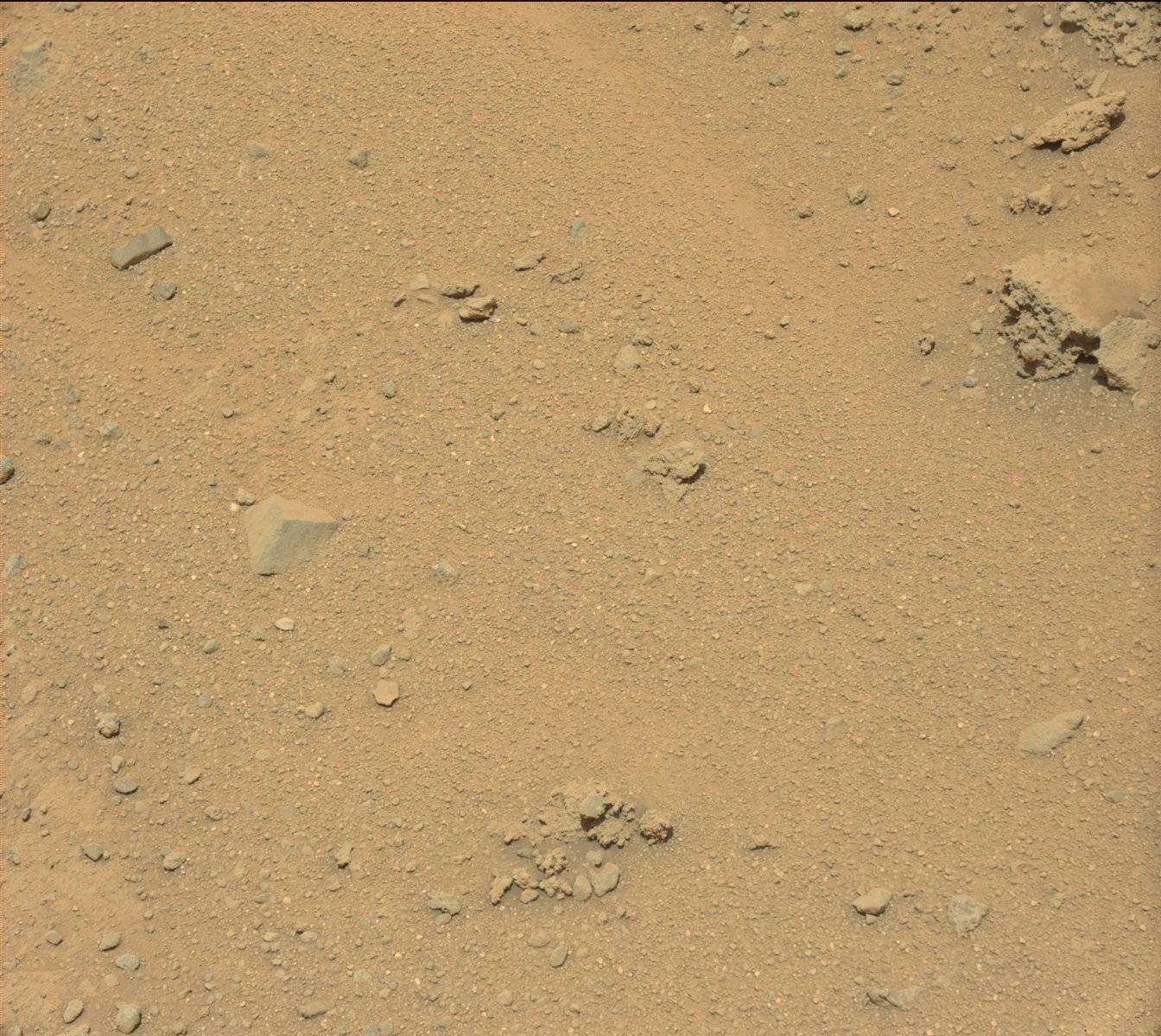 Nasa's Mars rover Curiosity acquired this image using its Mast Camera (Mastcam) on Sol 392