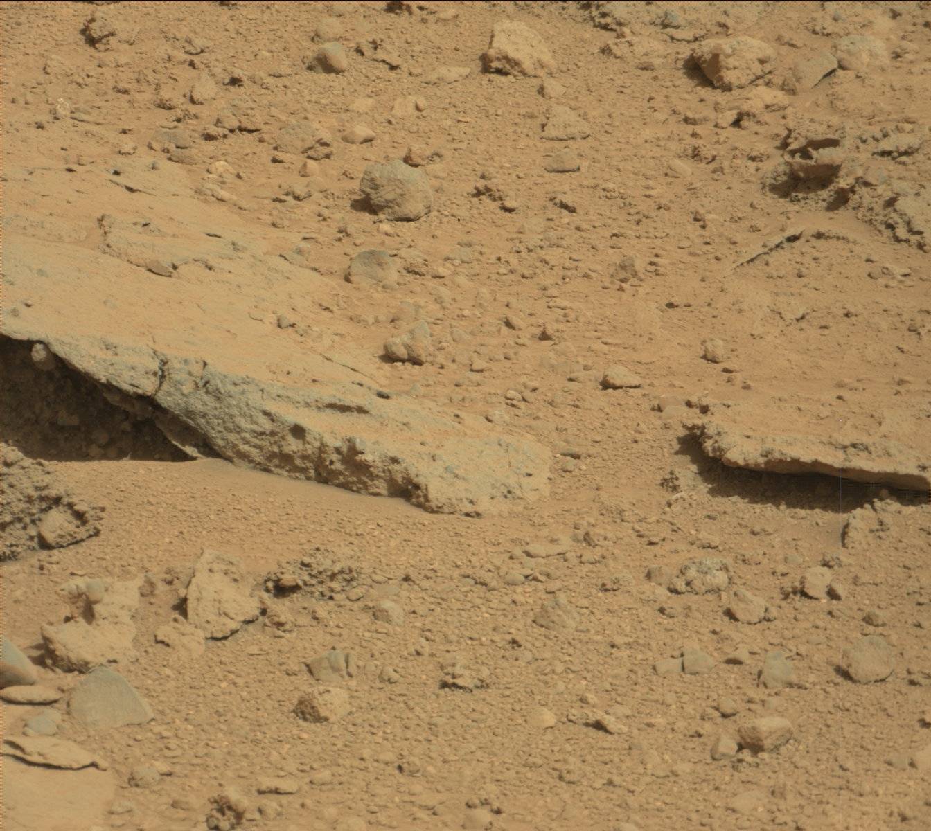 Nasa's Mars rover Curiosity acquired this image using its Mast Camera (Mastcam) on Sol 395