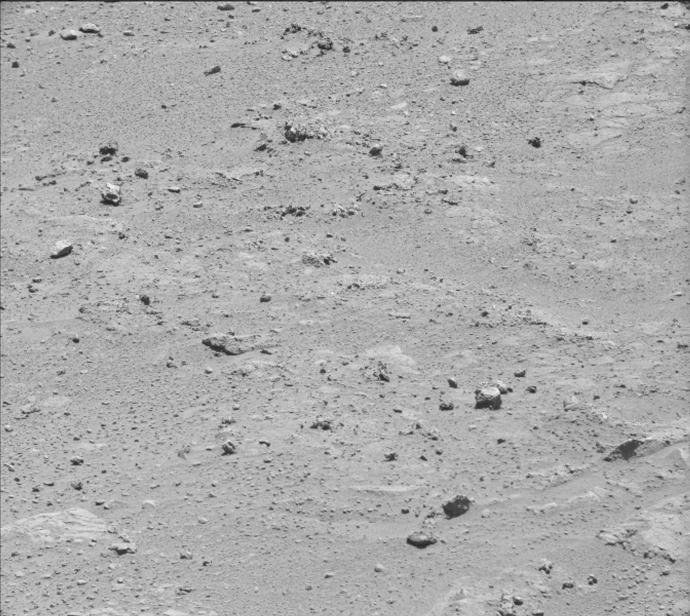 Nasa's Mars rover Curiosity acquired this image using its Mast Camera (Mastcam) on Sol 397