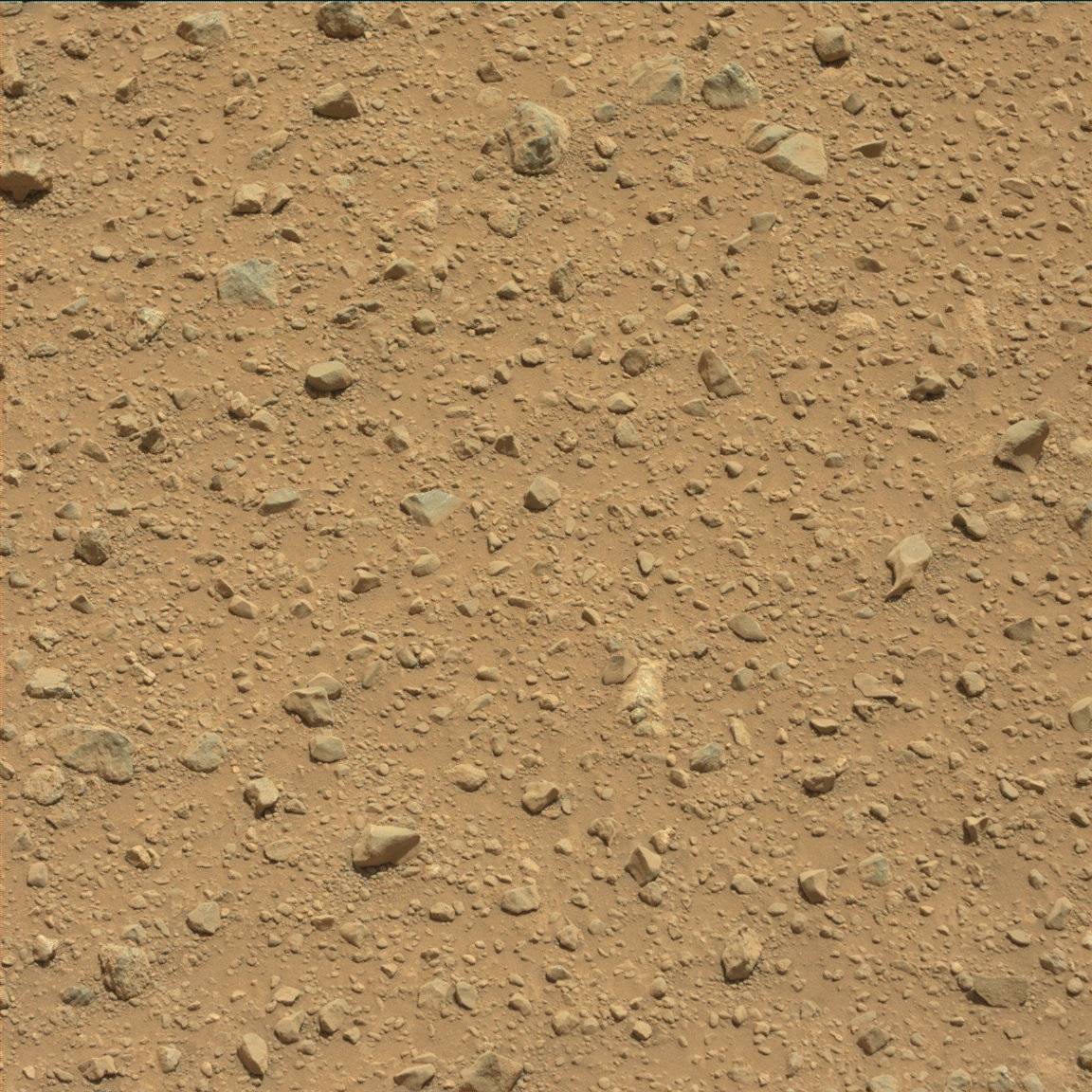 Nasa's Mars rover Curiosity acquired this image using its Mast Camera (Mastcam) on Sol 417