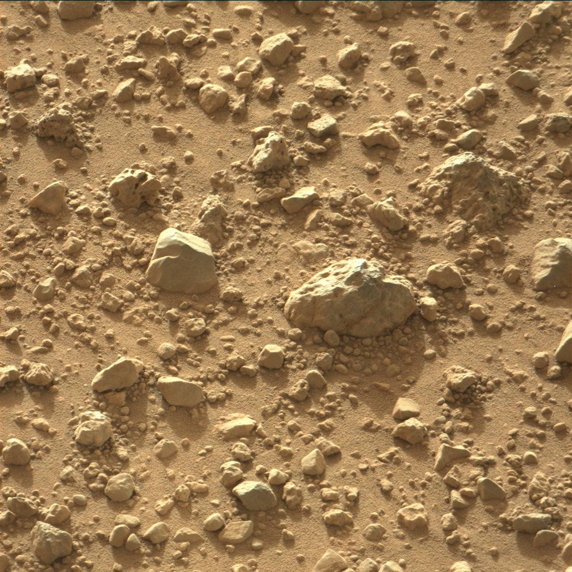 Nasa's Mars rover Curiosity acquired this image using its Mast Camera (Mastcam) on Sol 419