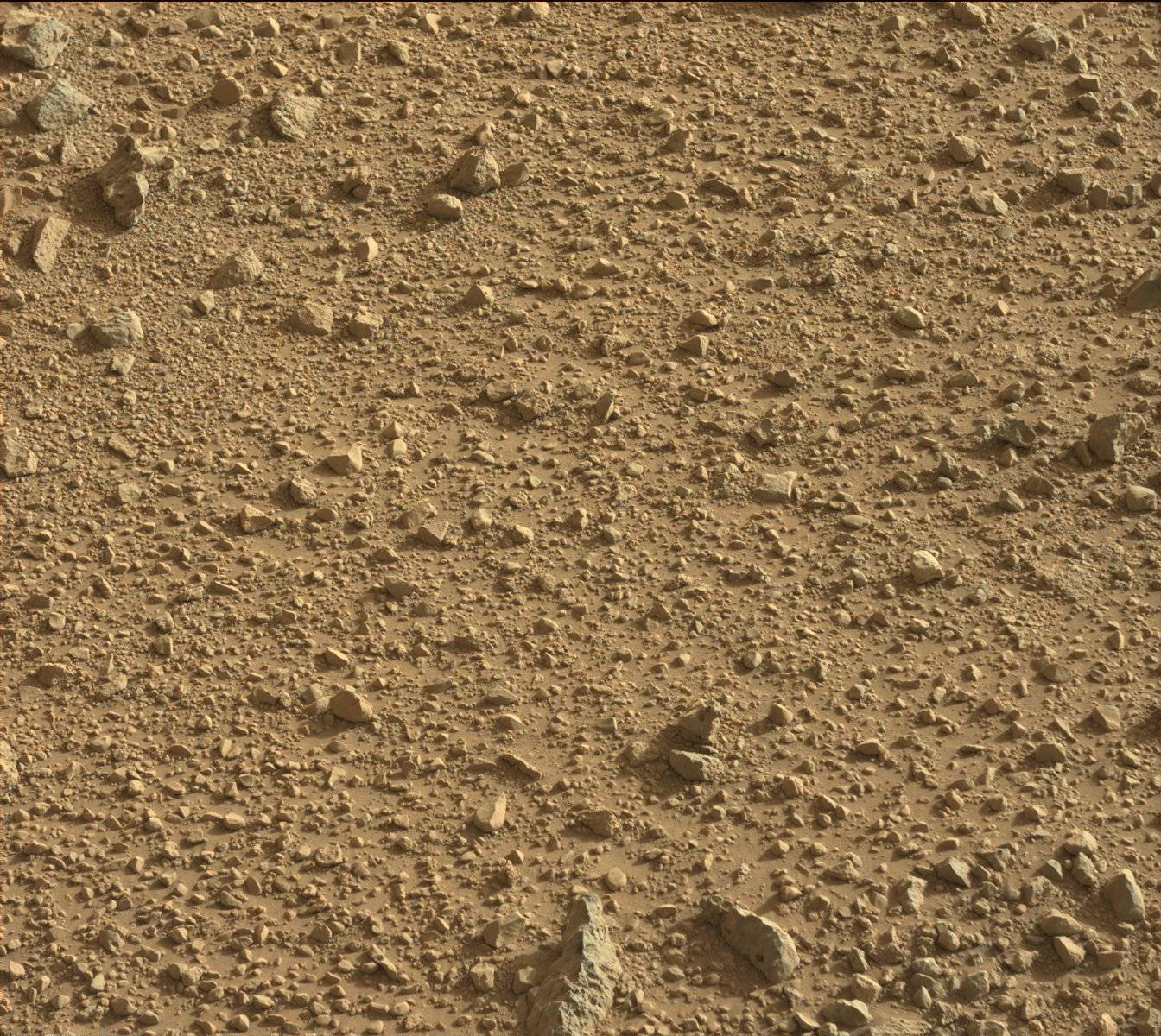 Nasa's Mars rover Curiosity acquired this image using its Mast Camera (Mastcam) on Sol 424