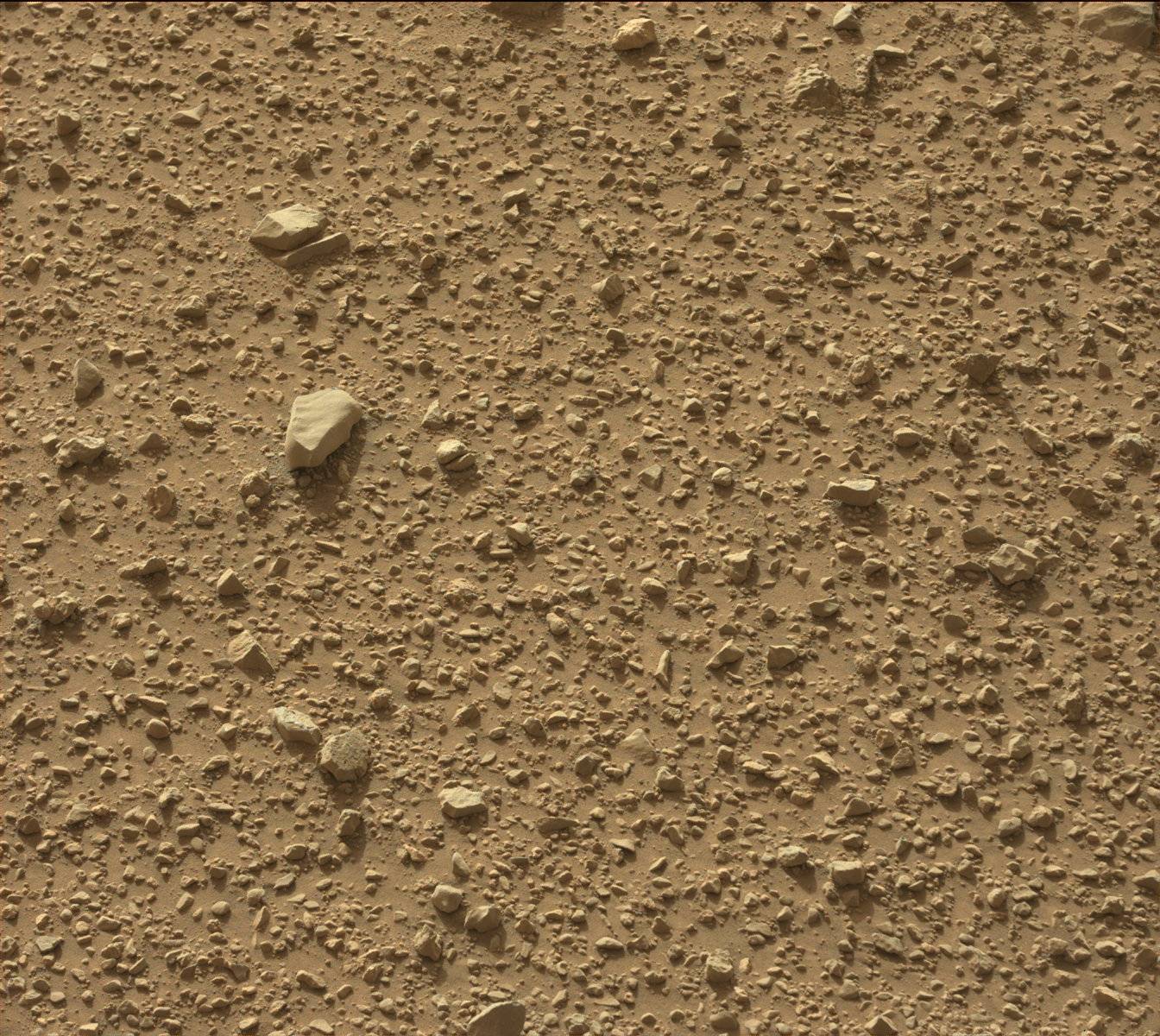 Nasa's Mars rover Curiosity acquired this image using its Mast Camera (Mastcam) on Sol 424