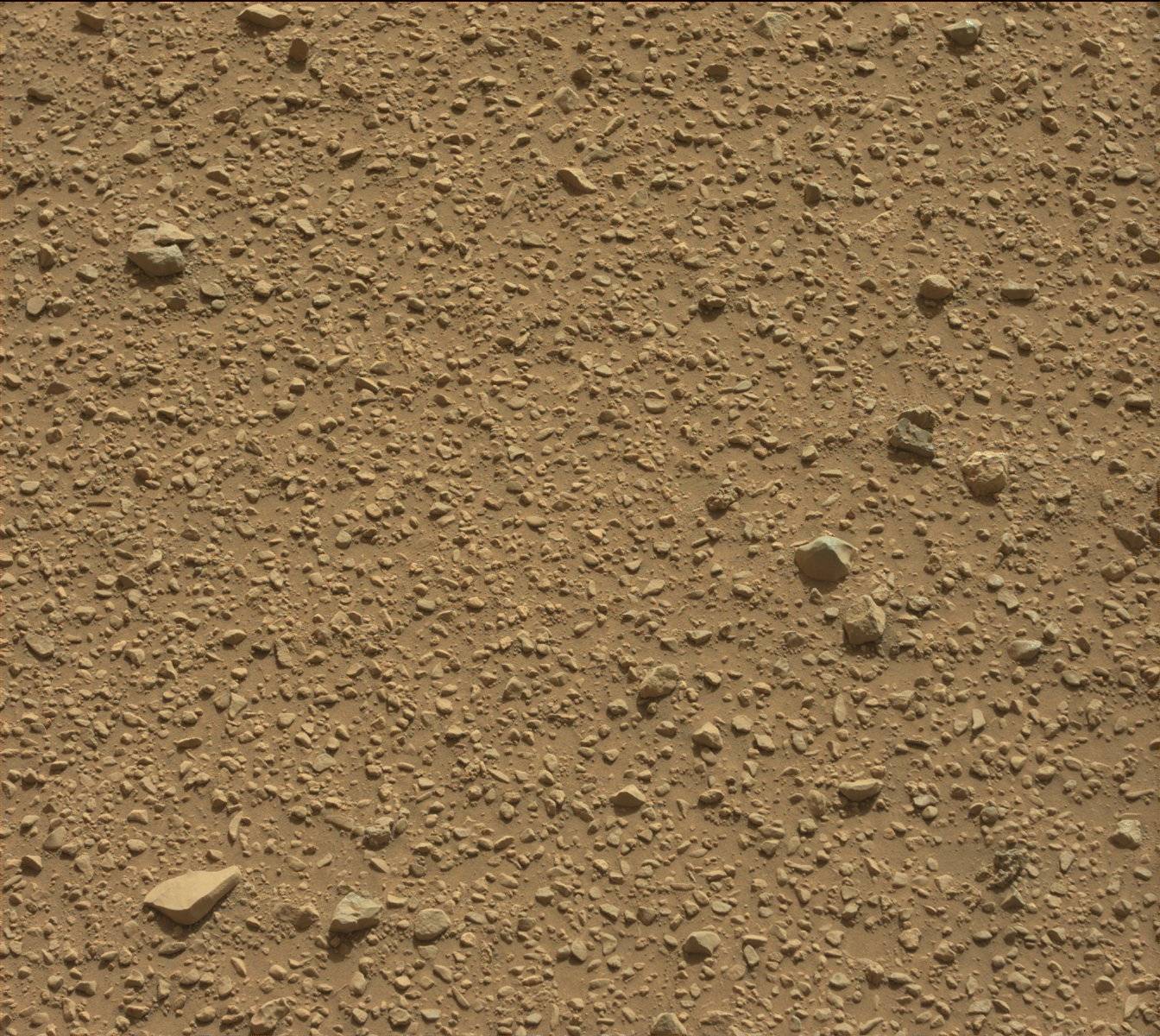Nasa's Mars rover Curiosity acquired this image using its Mast Camera (Mastcam) on Sol 425