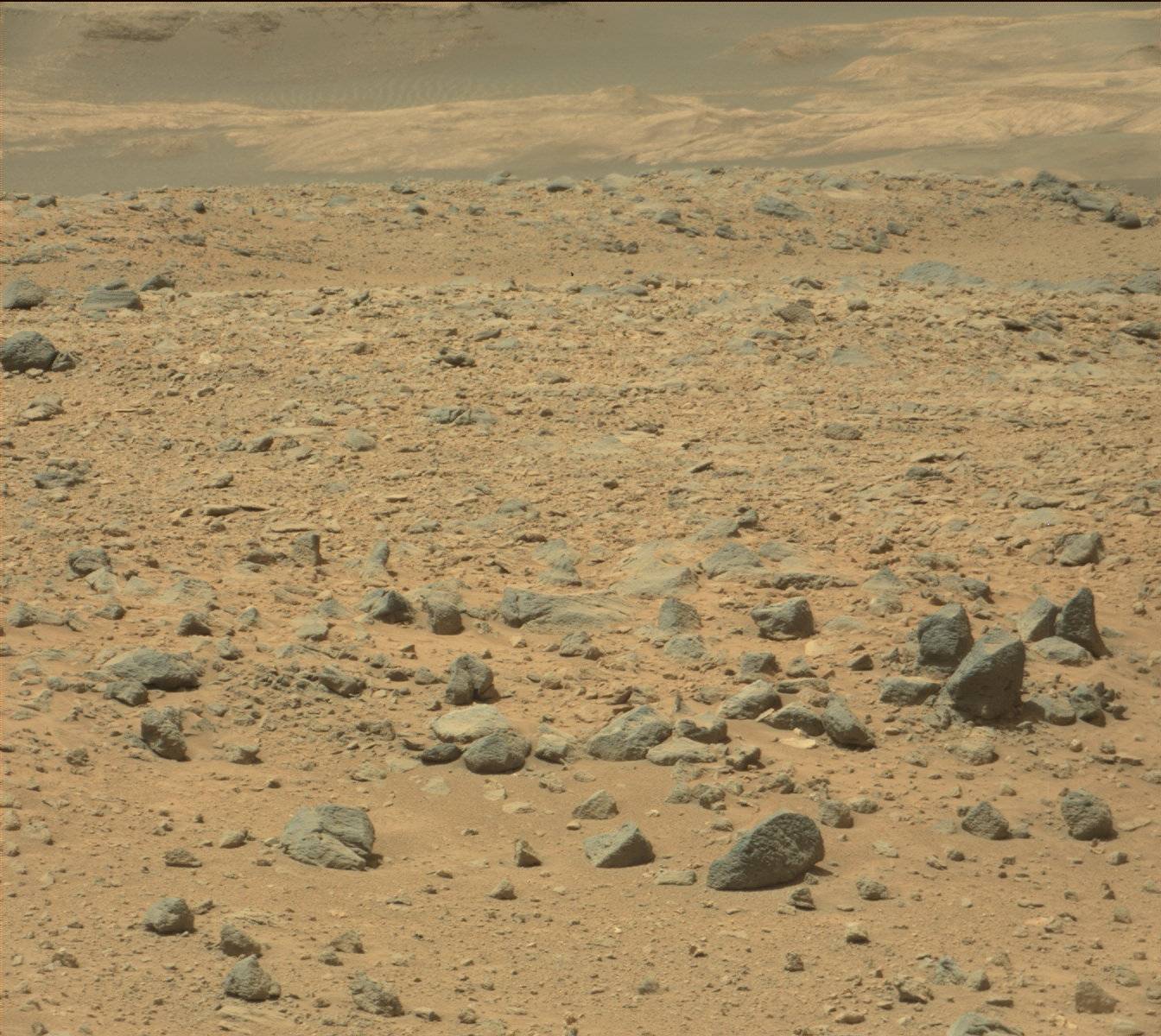 Nasa's Mars rover Curiosity acquired this image using its Mast Camera (Mastcam) on Sol 426