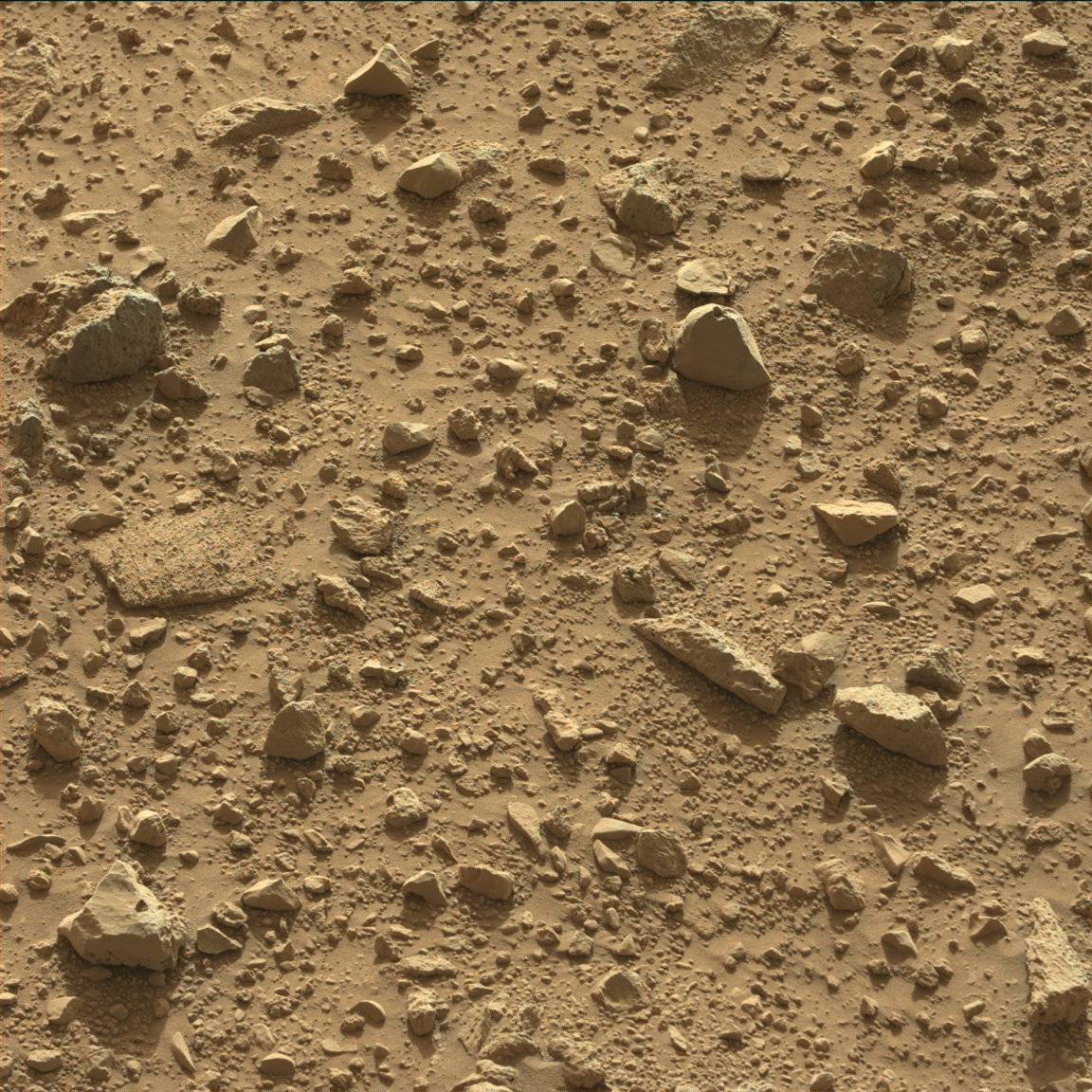 Nasa's Mars rover Curiosity acquired this image using its Mast Camera (Mastcam) on Sol 430