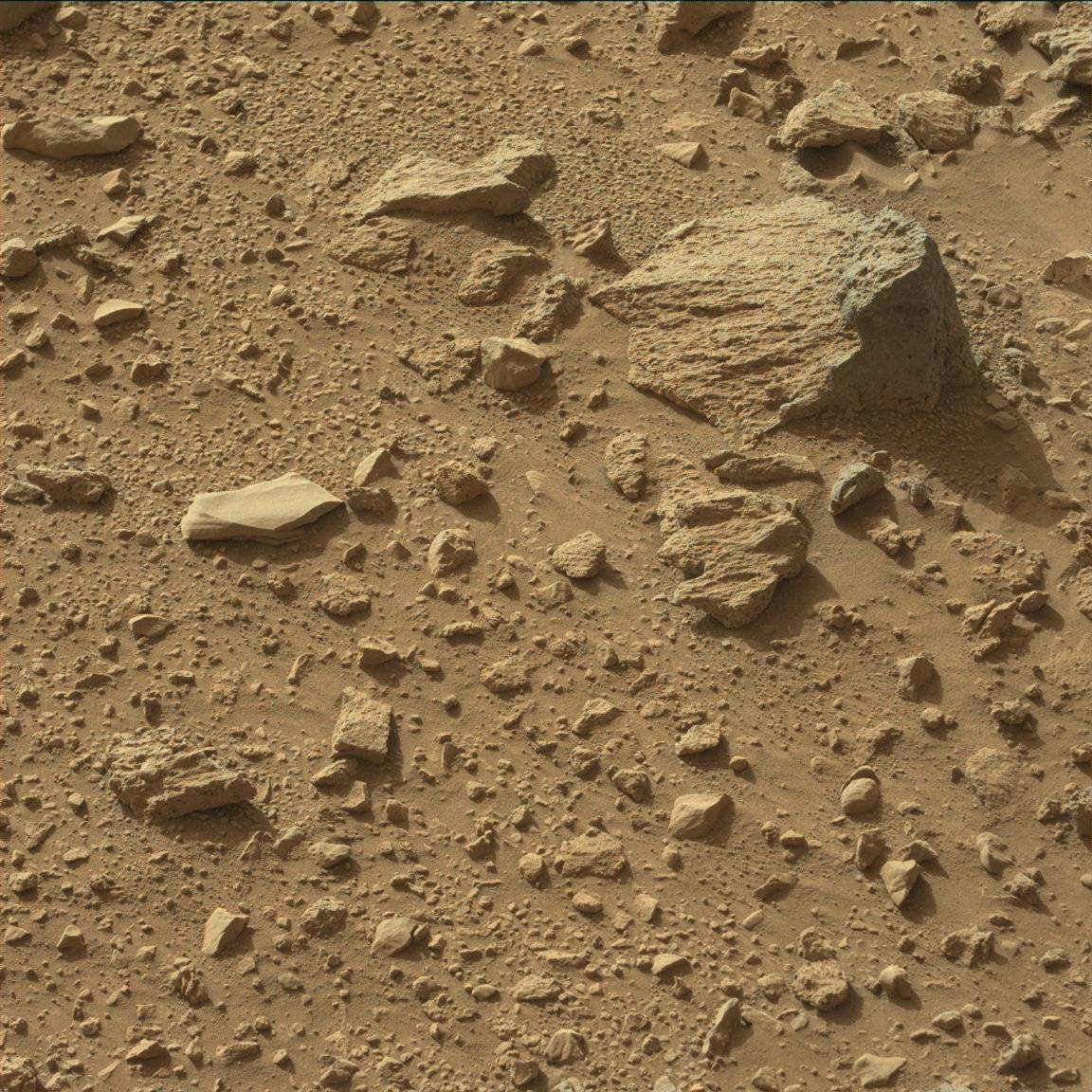 Nasa's Mars rover Curiosity acquired this image using its Mast Camera (Mastcam) on Sol 430