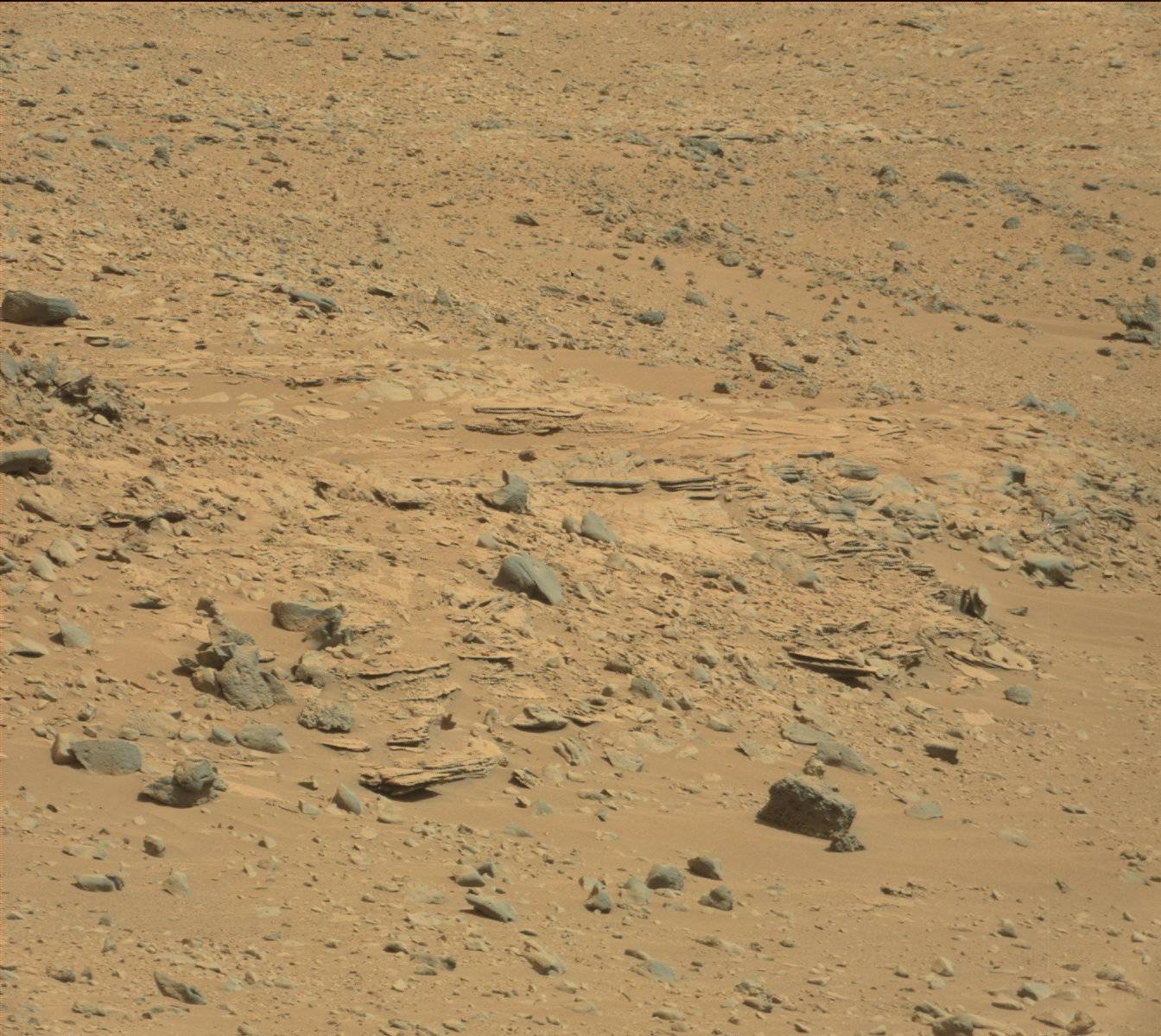 Nasa's Mars rover Curiosity acquired this image using its Mast Camera (Mastcam) on Sol 431