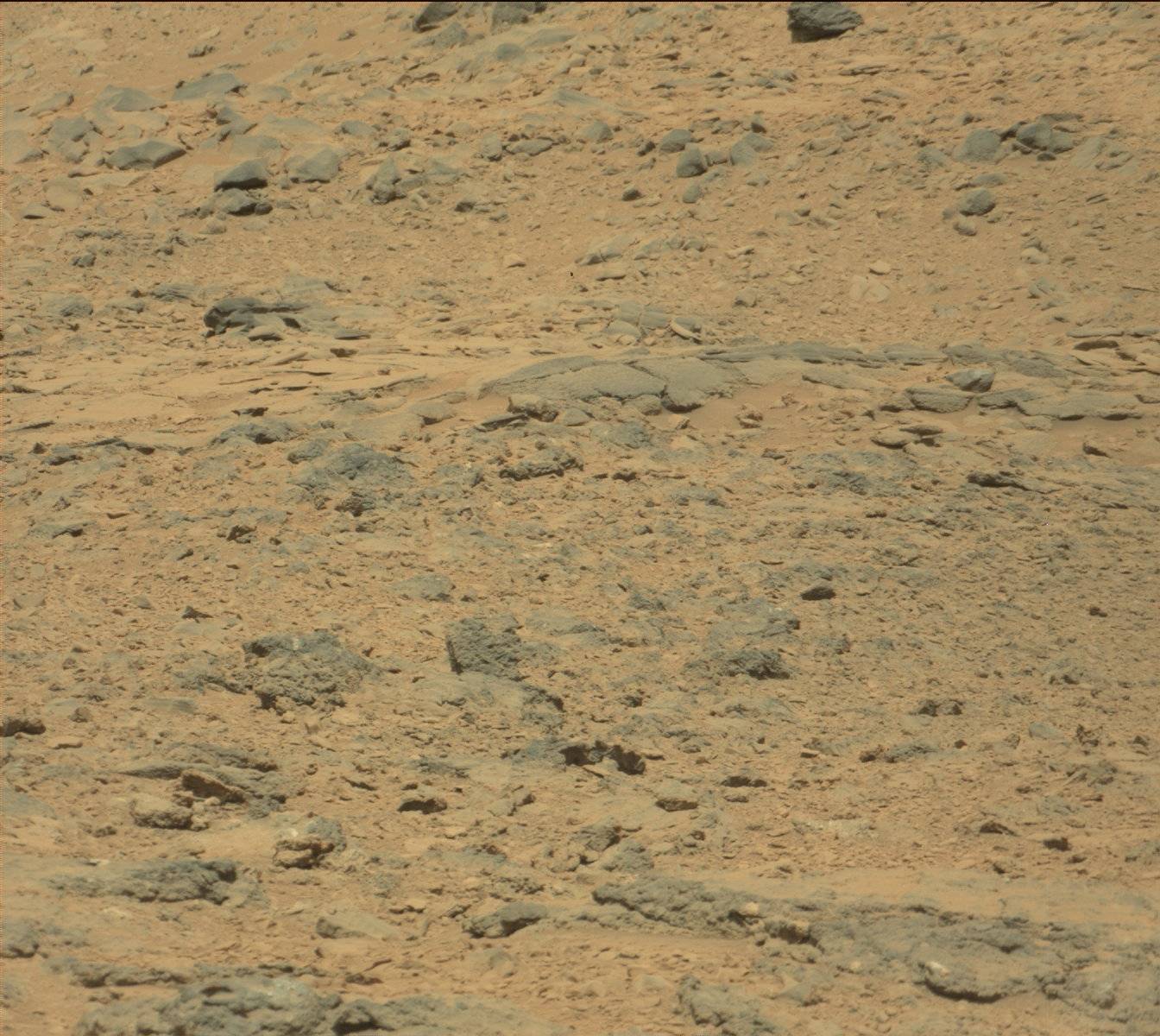 Nasa's Mars rover Curiosity acquired this image using its Mast Camera (Mastcam) on Sol 438