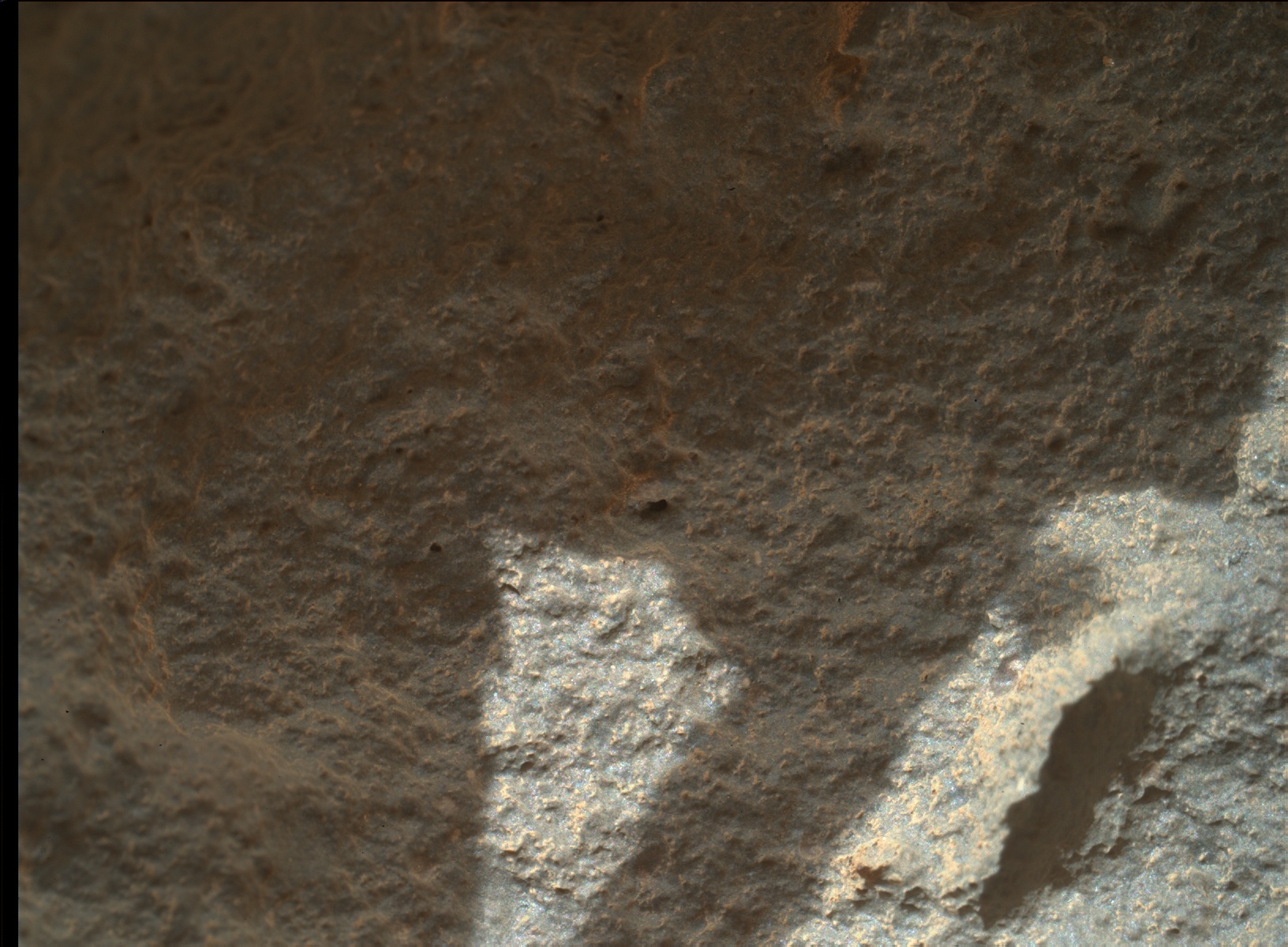 Nasa's Mars rover Curiosity acquired this image using its Mars Hand Lens Imager (MAHLI) on Sol 442