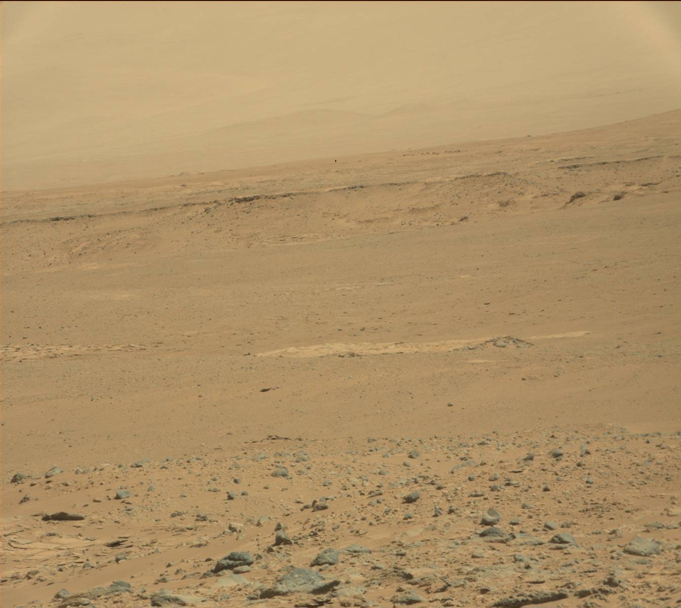 Nasa's Mars rover Curiosity acquired this image using its Mast Camera (Mastcam) on Sol 455