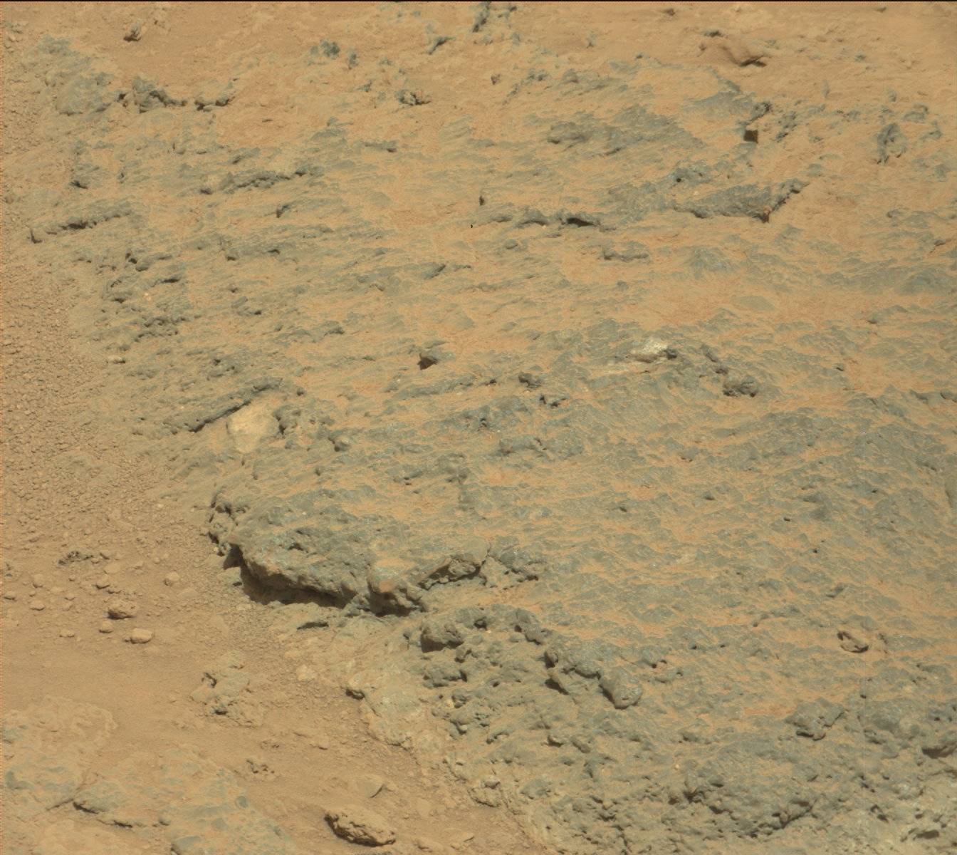 Nasa's Mars rover Curiosity acquired this image using its Mast Camera (Mastcam) on Sol 465