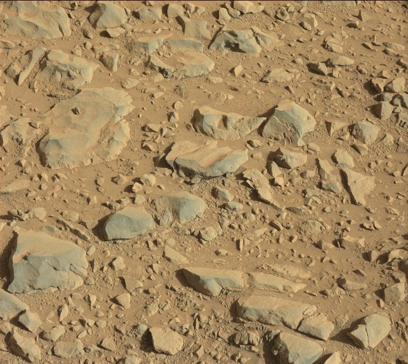Nasa's Mars rover Curiosity acquired this image using its Mast Camera (Mastcam) on Sol 470