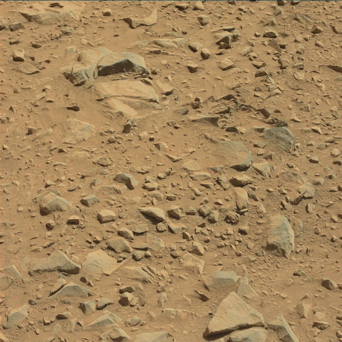 Nasa's Mars rover Curiosity acquired this image using its Mast Camera (Mastcam) on Sol 491