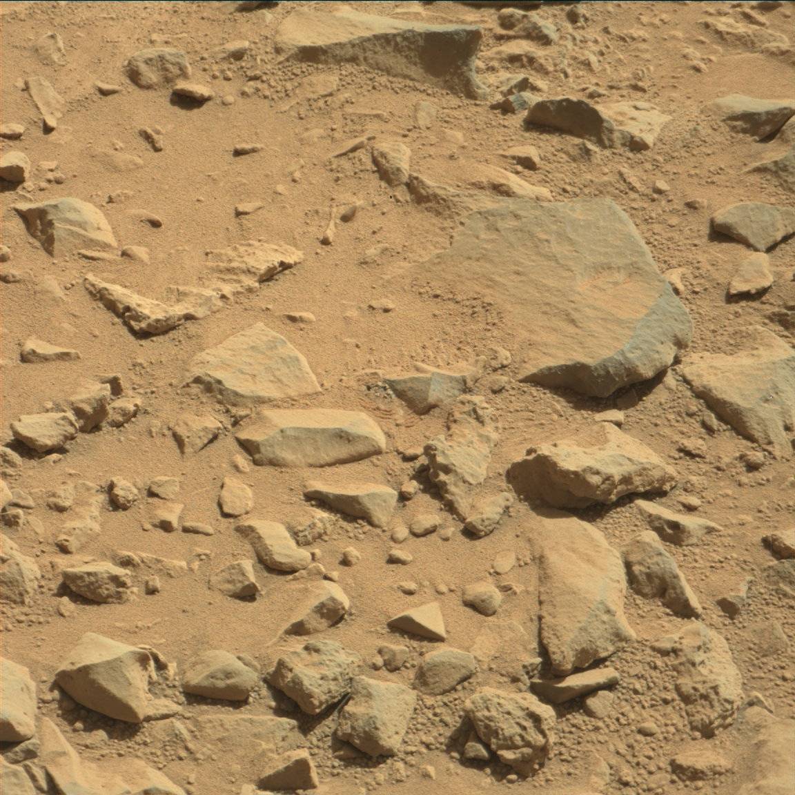 Nasa's Mars rover Curiosity acquired this image using its Mast Camera (Mastcam) on Sol 491