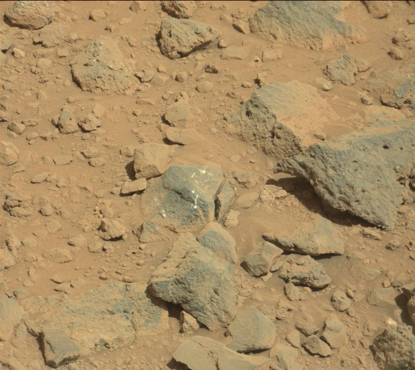 Nasa's Mars rover Curiosity acquired this image using its Mast Camera (Mastcam) on Sol 502