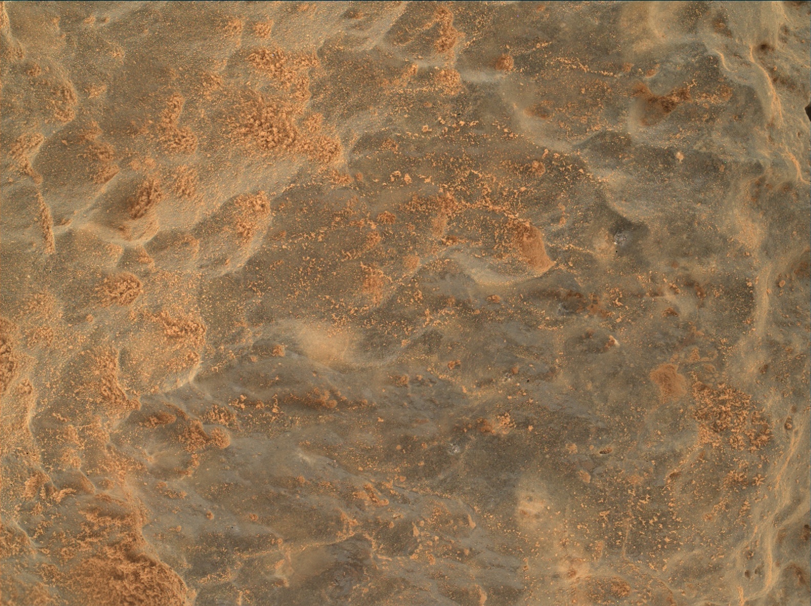 Nasa's Mars rover Curiosity acquired this image using its Mars Hand Lens Imager (MAHLI) on Sol 503