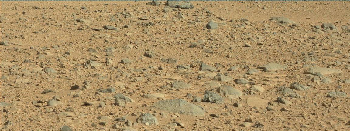 Nasa's Mars rover Curiosity acquired this image using its Mast Camera (Mastcam) on Sol 508