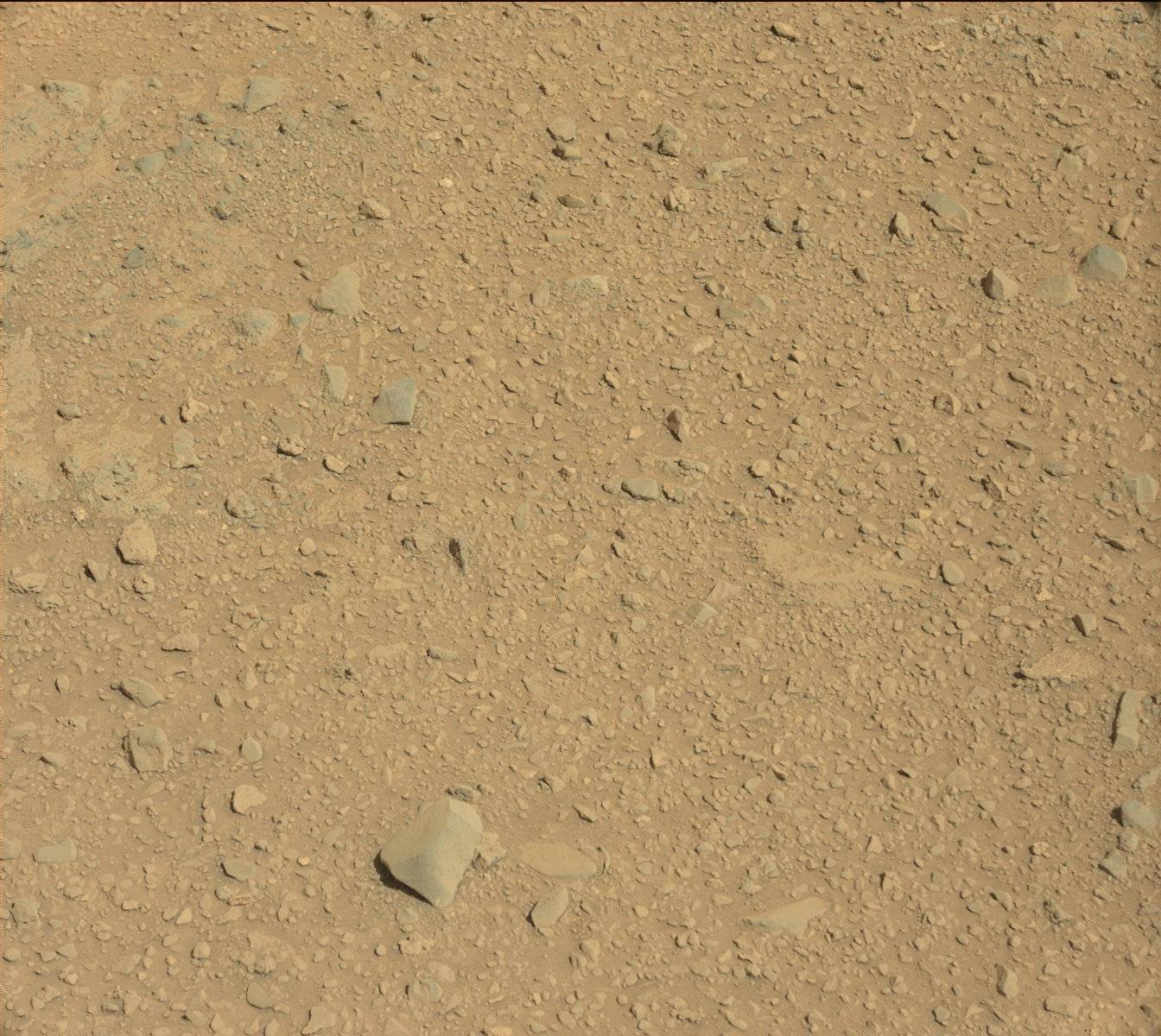 Nasa's Mars rover Curiosity acquired this image using its Mast Camera (Mastcam) on Sol 511