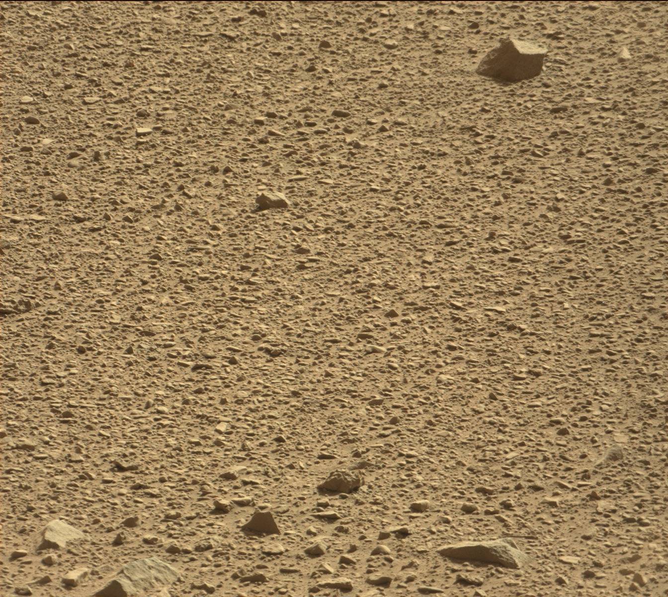 Nasa's Mars rover Curiosity acquired this image using its Mast Camera (Mastcam) on Sol 513