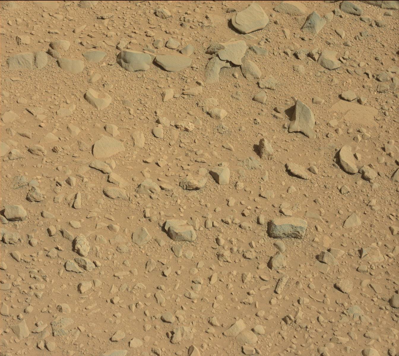 Nasa's Mars rover Curiosity acquired this image using its Mast Camera (Mastcam) on Sol 515