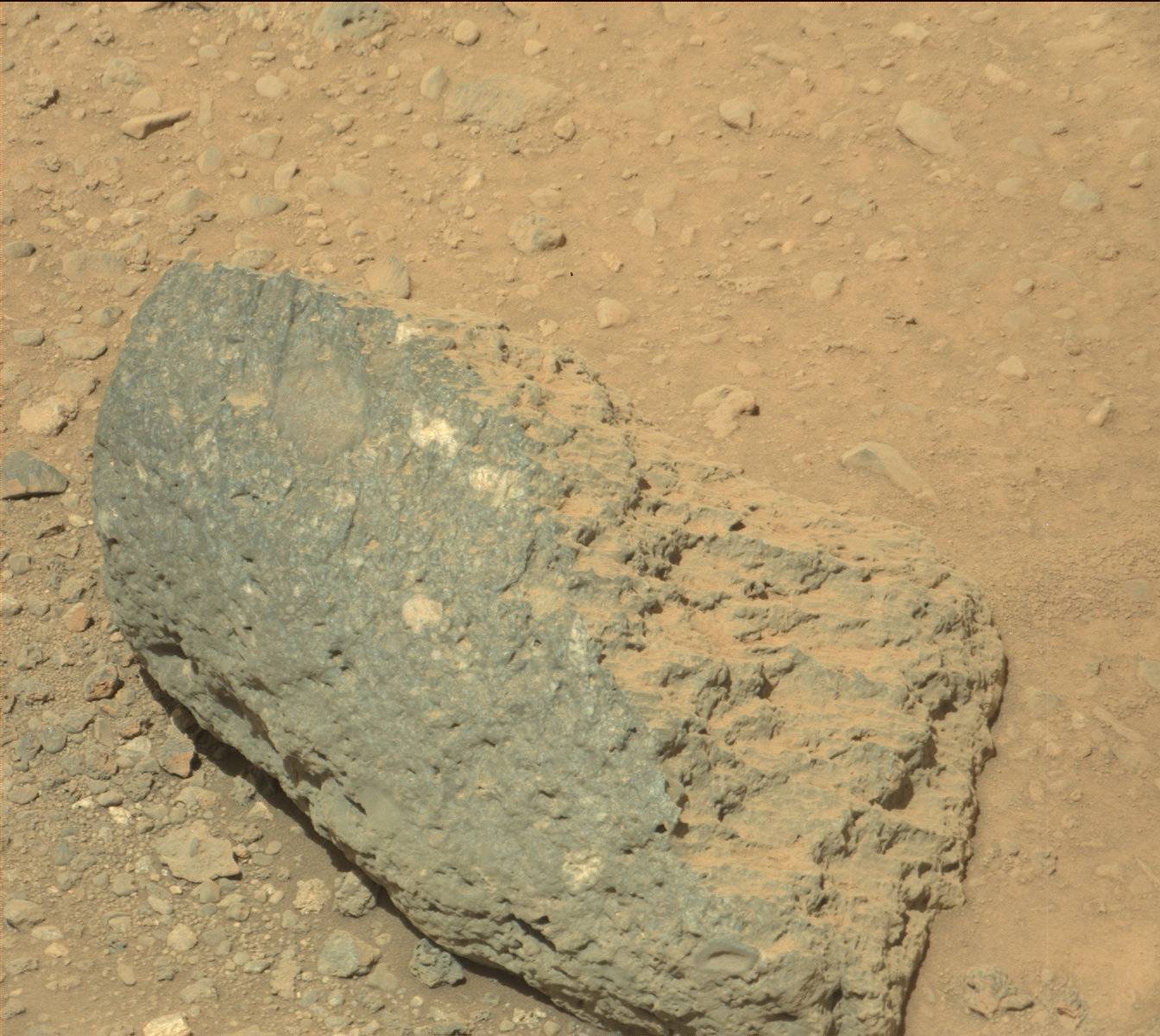 Nasa's Mars rover Curiosity acquired this image using its Mast Camera (Mastcam) on Sol 522