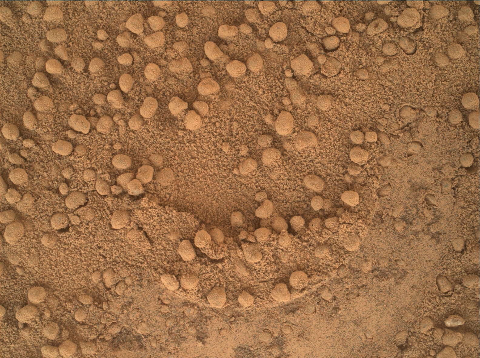 Nasa's Mars rover Curiosity acquired this image using its Mars Hand Lens Imager (MAHLI) on Sol 531