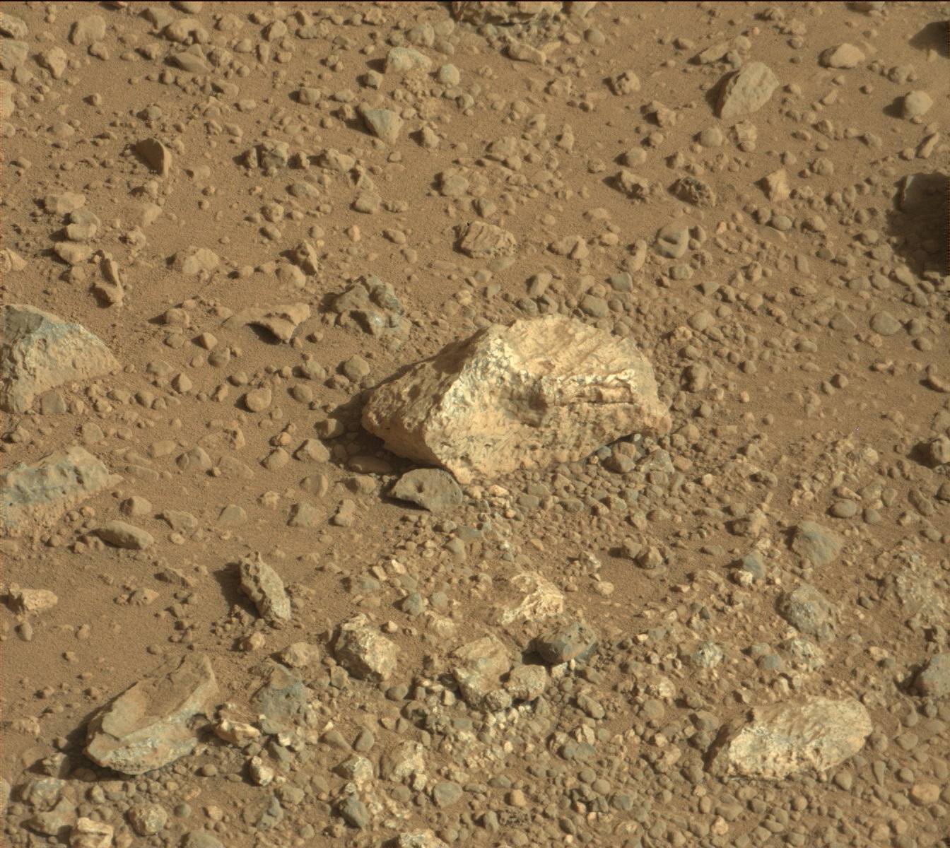 Nasa's Mars rover Curiosity acquired this image using its Mast Camera (Mastcam) on Sol 544