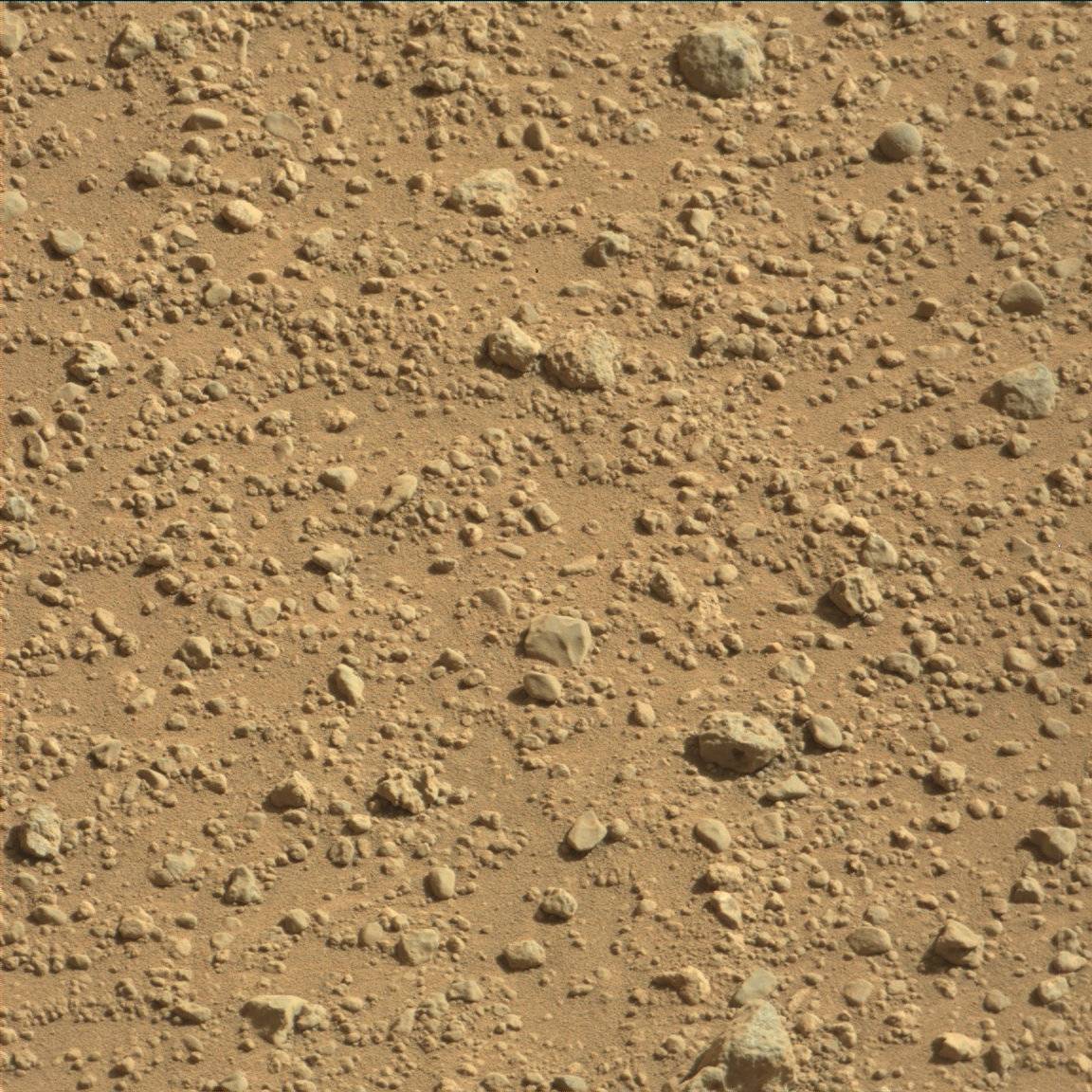 Nasa's Mars rover Curiosity acquired this image using its Mast Camera (Mastcam) on Sol 547