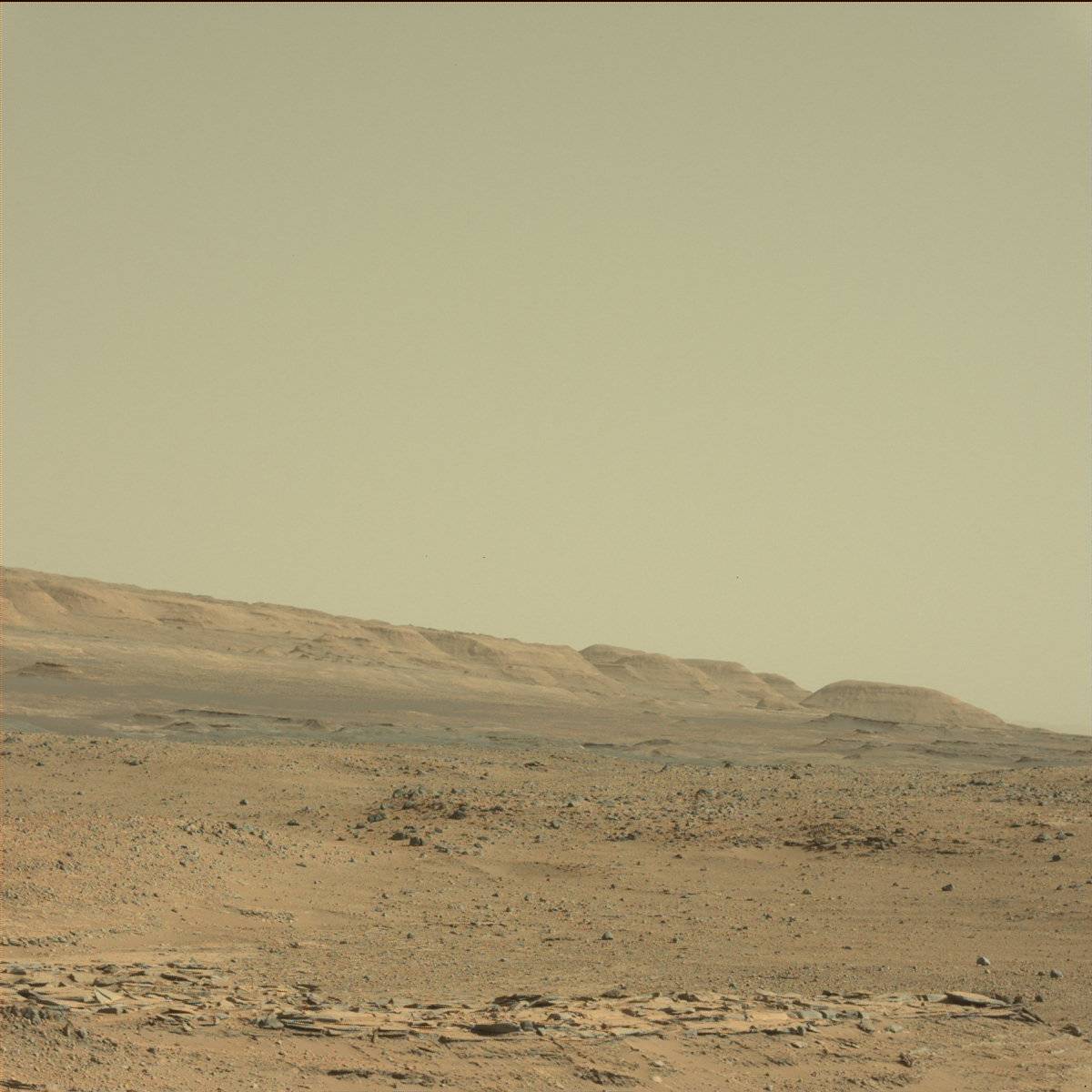 Nasa's Mars rover Curiosity acquired this image using its Mast Camera (Mastcam) on Sol 550