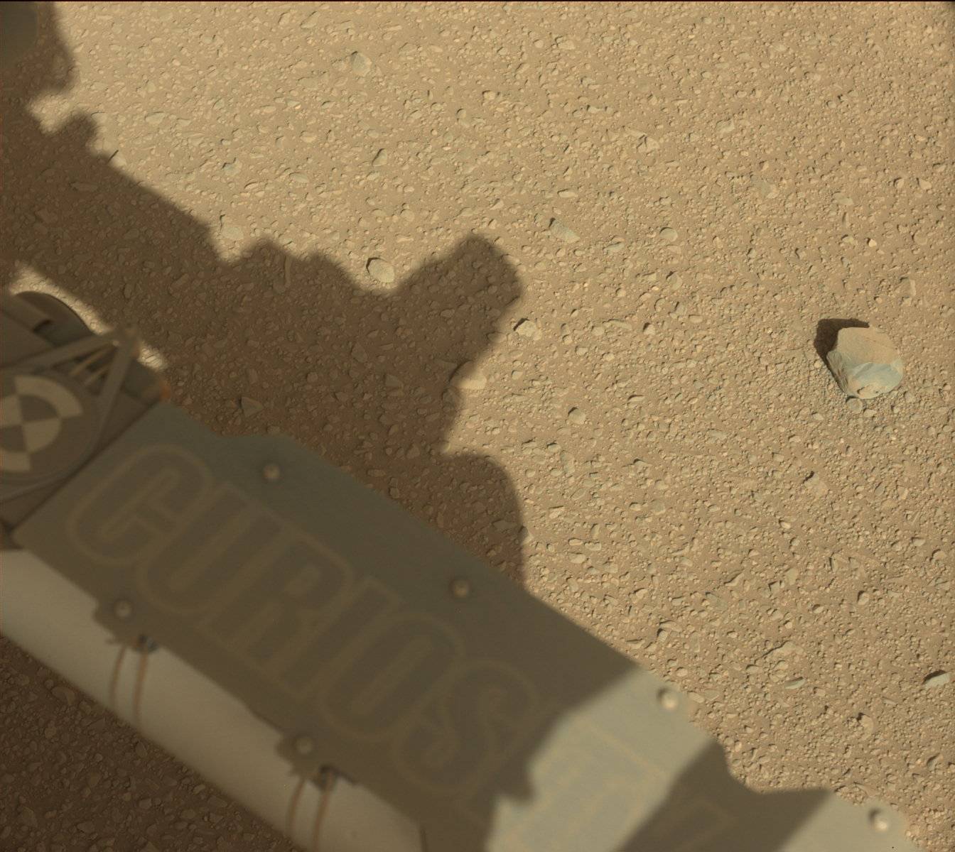 Nasa's Mars rover Curiosity acquired this image using its Mast Camera (Mastcam) on Sol 555
