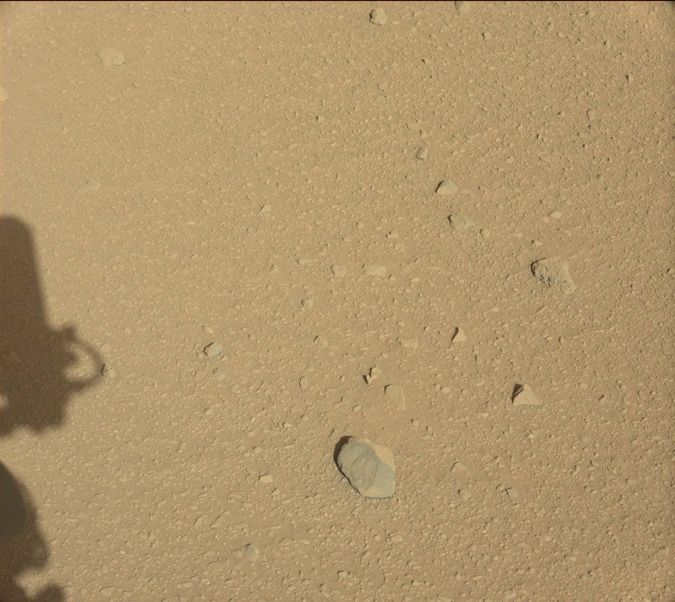 Nasa's Mars rover Curiosity acquired this image using its Mast Camera (Mastcam) on Sol 555