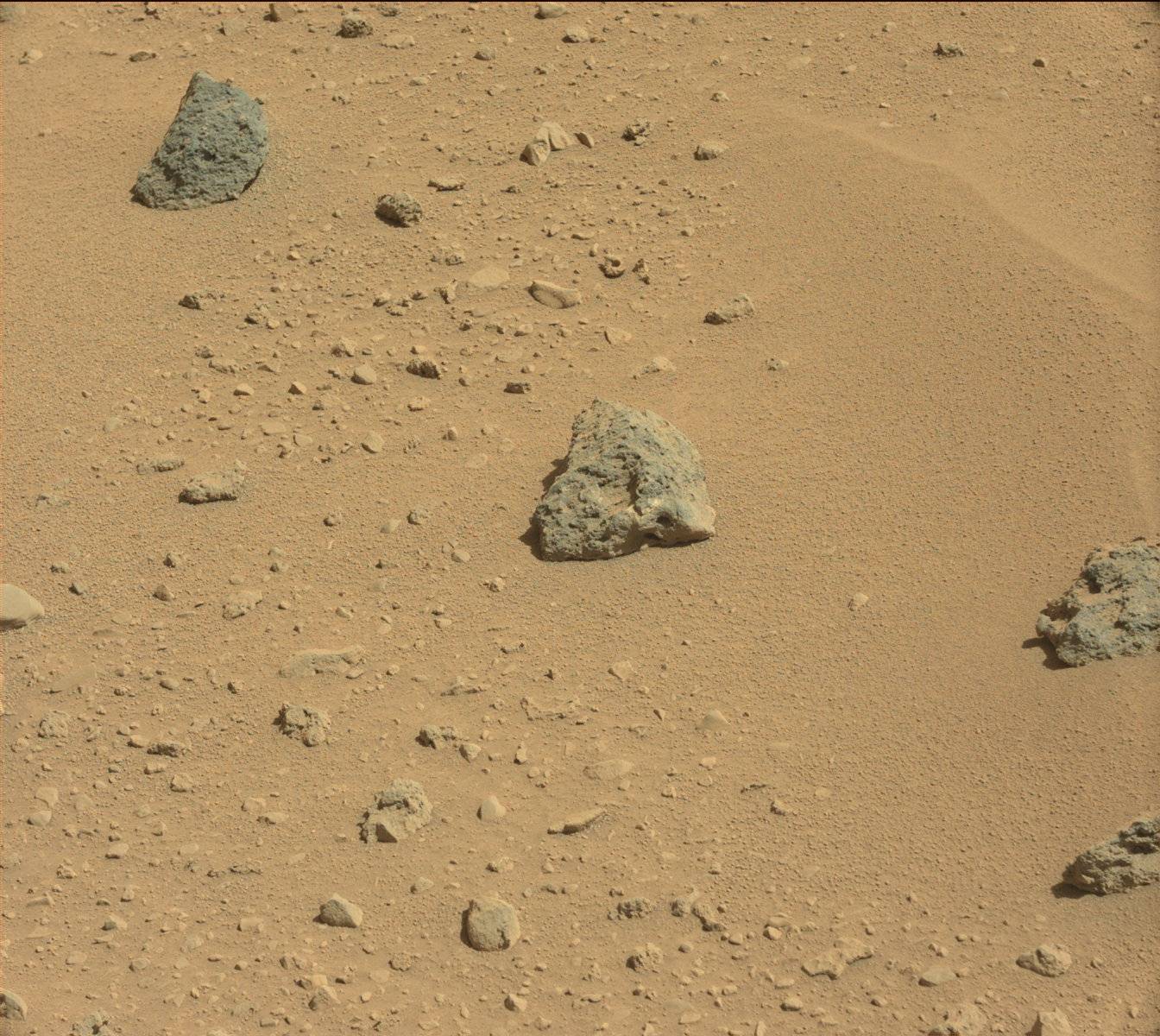 Nasa's Mars rover Curiosity acquired this image using its Mast Camera (Mastcam) on Sol 558
