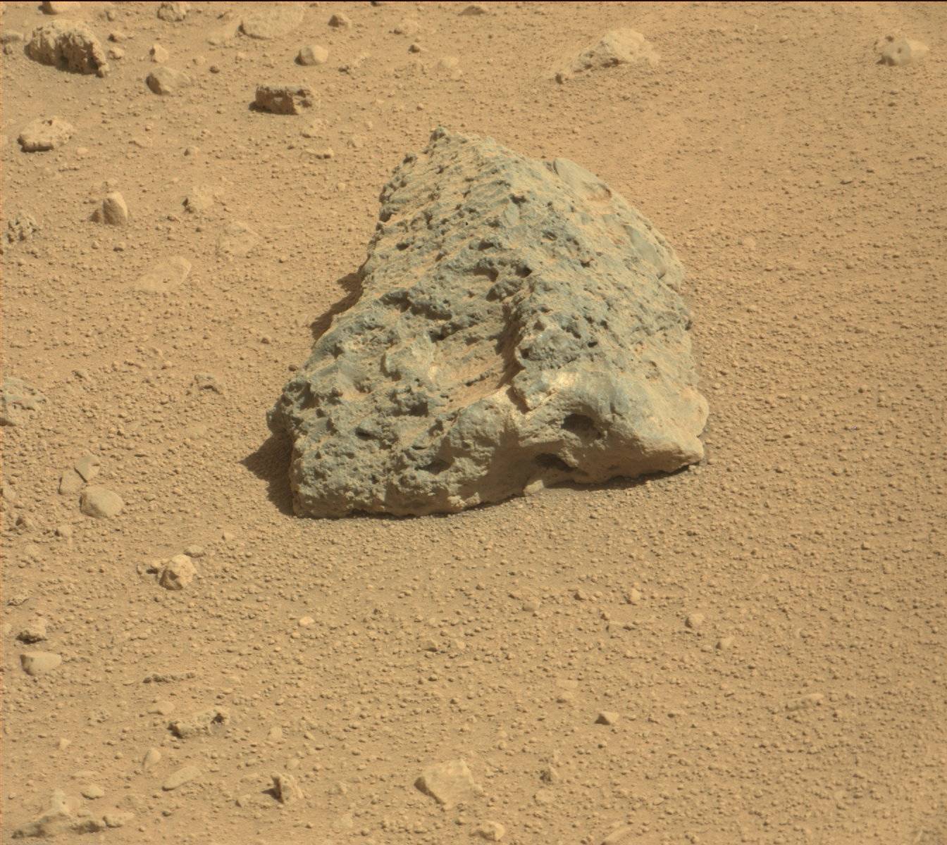 Nasa's Mars rover Curiosity acquired this image using its Mast Camera (Mastcam) on Sol 558