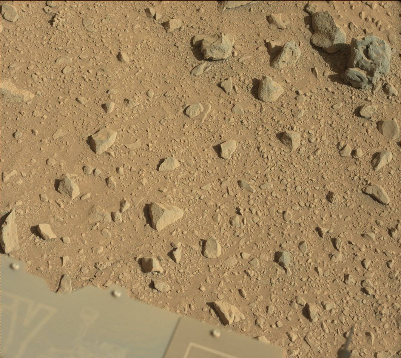 Nasa's Mars rover Curiosity acquired this image using its Mast Camera (Mastcam) on Sol 559
