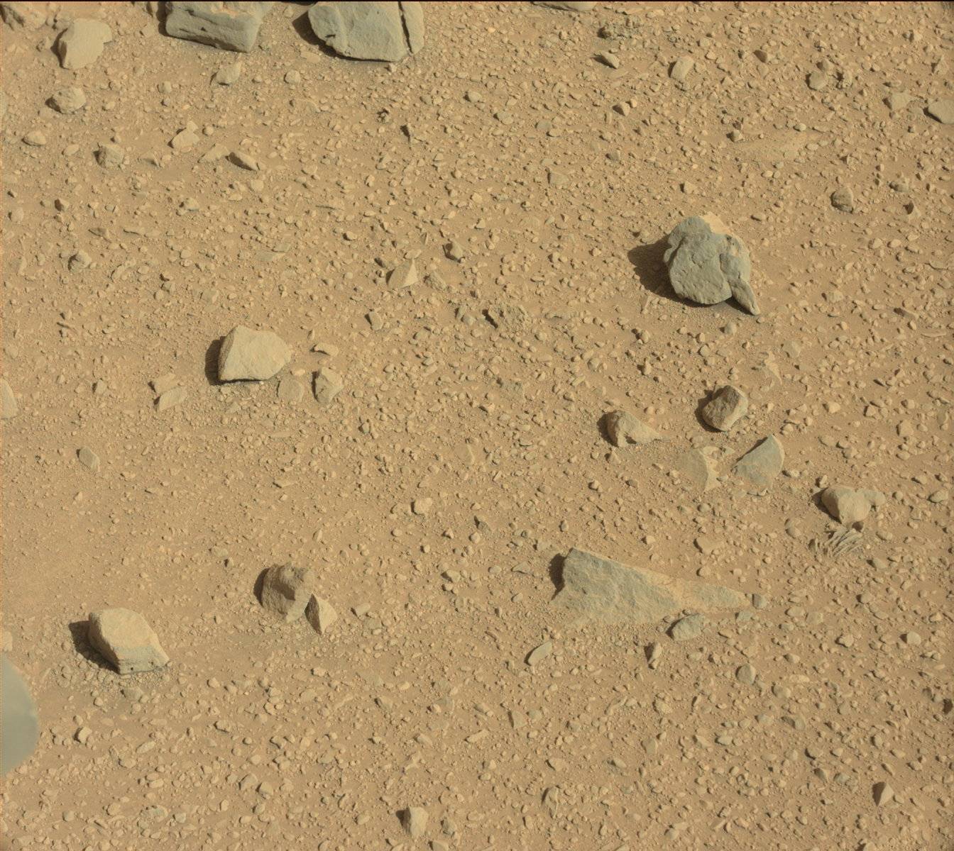 Nasa's Mars rover Curiosity acquired this image using its Mast Camera (Mastcam) on Sol 559