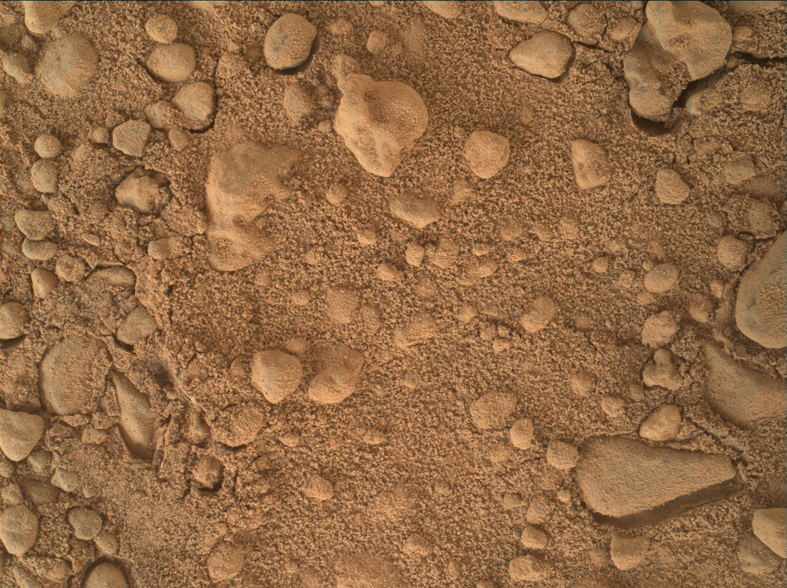 Nasa's Mars rover Curiosity acquired this image using its Mars Hand Lens Imager (MAHLI) on Sol 559