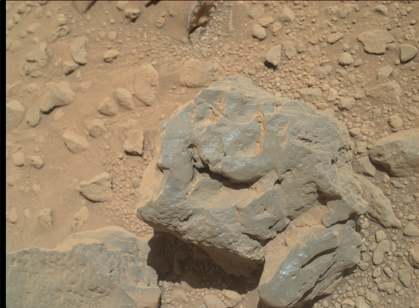 Nasa's Mars rover Curiosity acquired this image using its Mars Hand Lens Imager (MAHLI) on Sol 560