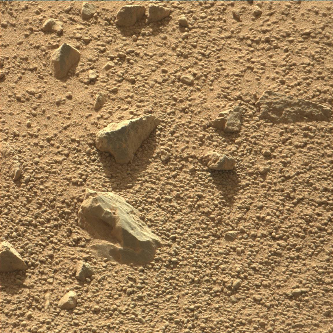 Nasa's Mars rover Curiosity acquired this image using its Mast Camera (Mastcam) on Sol 561