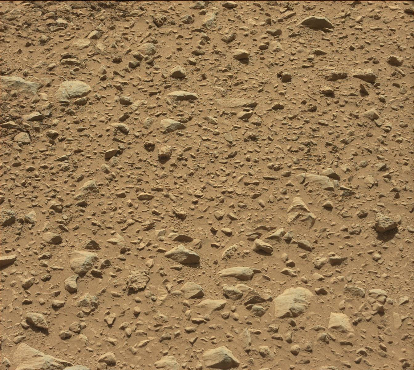 Nasa's Mars rover Curiosity acquired this image using its Mast Camera (Mastcam) on Sol 563