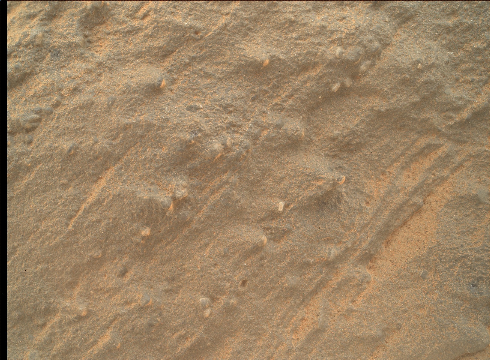 Nasa's Mars rover Curiosity acquired this image using its Mars Hand Lens Imager (MAHLI) on Sol 583