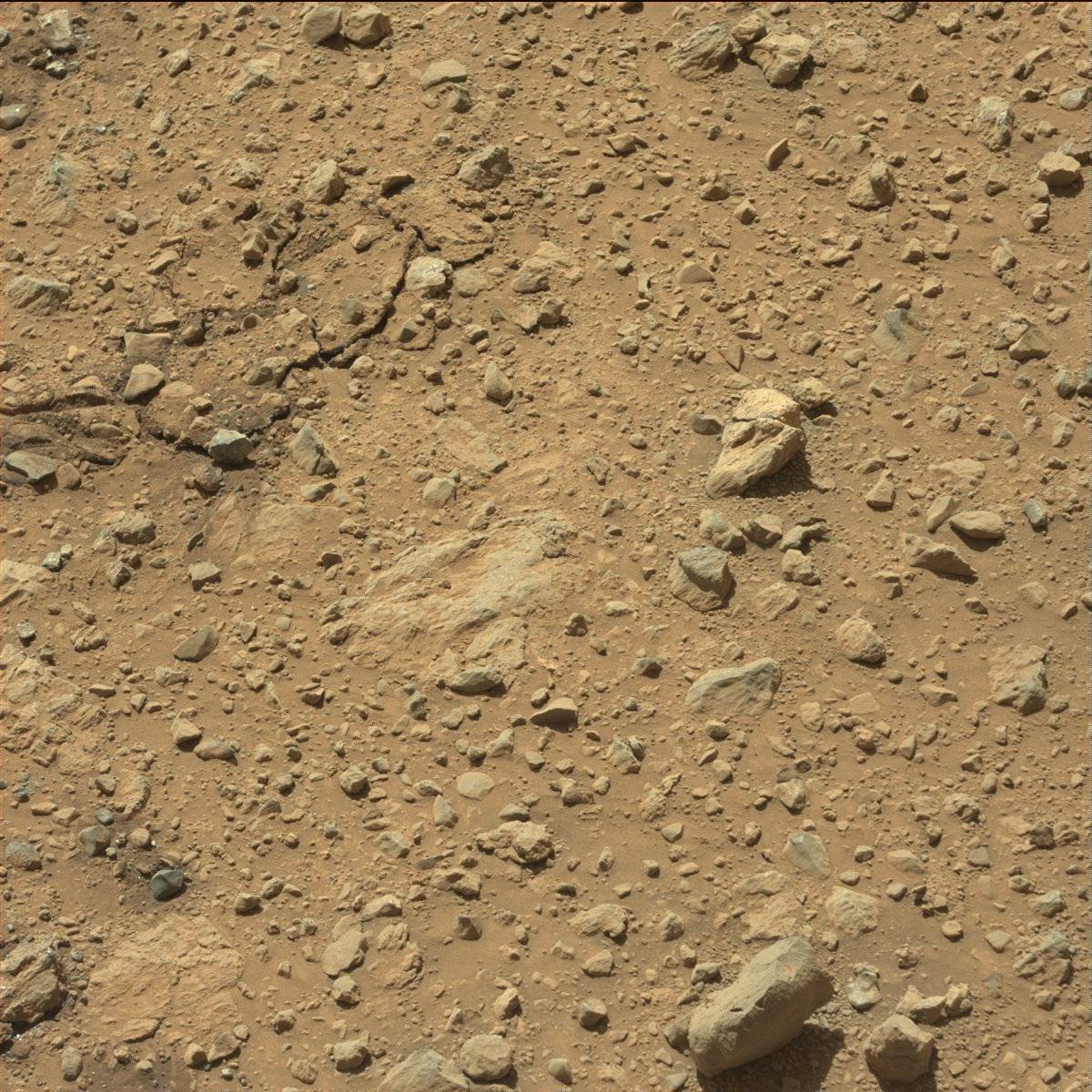 Nasa's Mars rover Curiosity acquired this image using its Mast Camera (Mastcam) on Sol 592