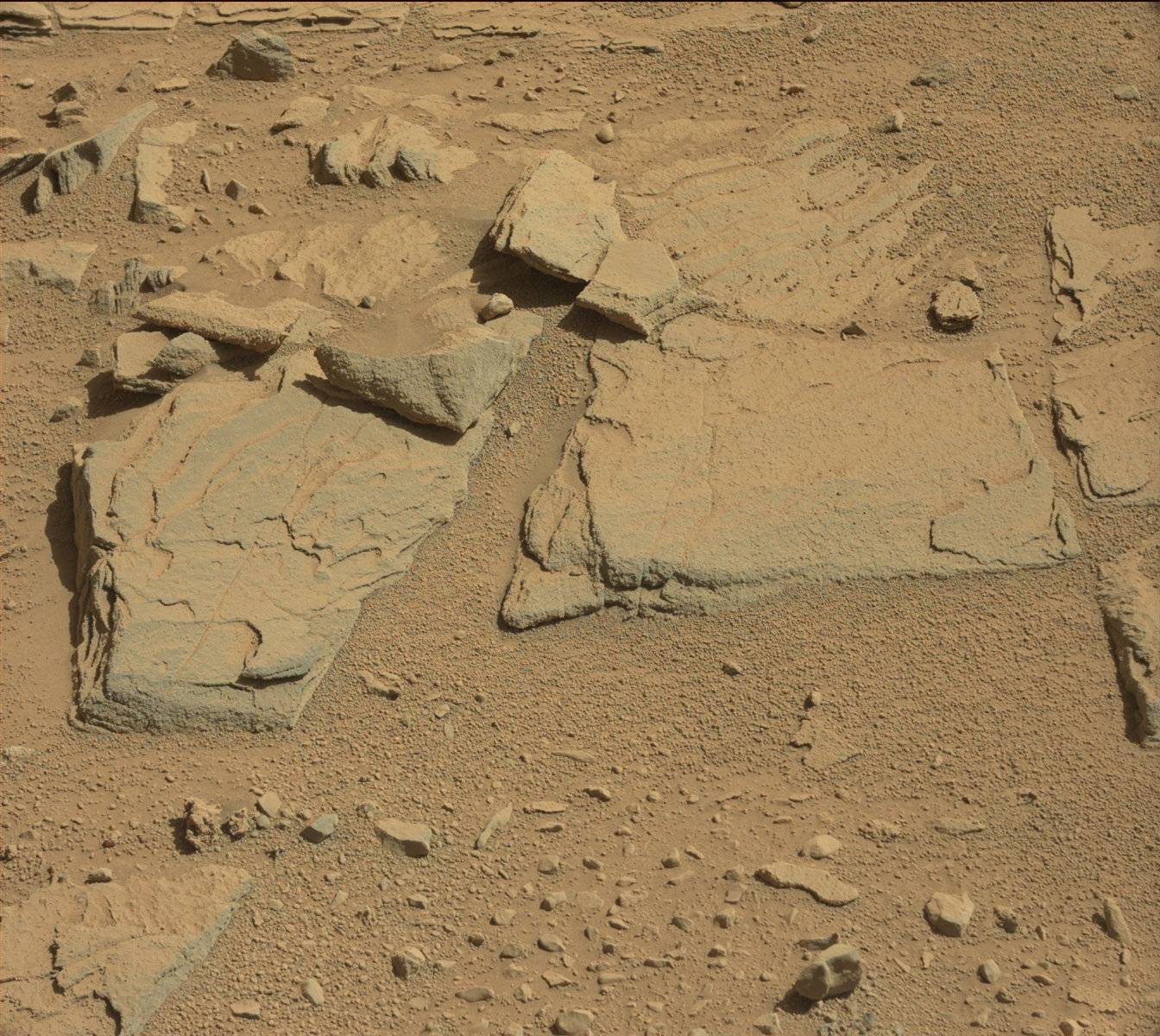 Nasa's Mars rover Curiosity acquired this image using its Mast Camera (Mastcam) on Sol 593