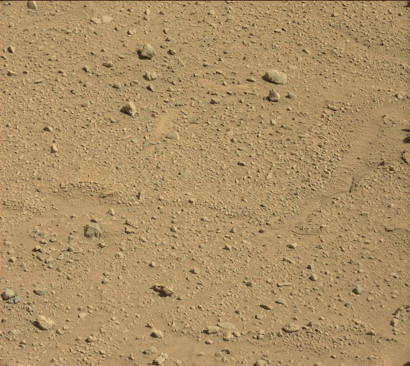 Nasa's Mars rover Curiosity acquired this image using its Mast Camera (Mastcam) on Sol 595