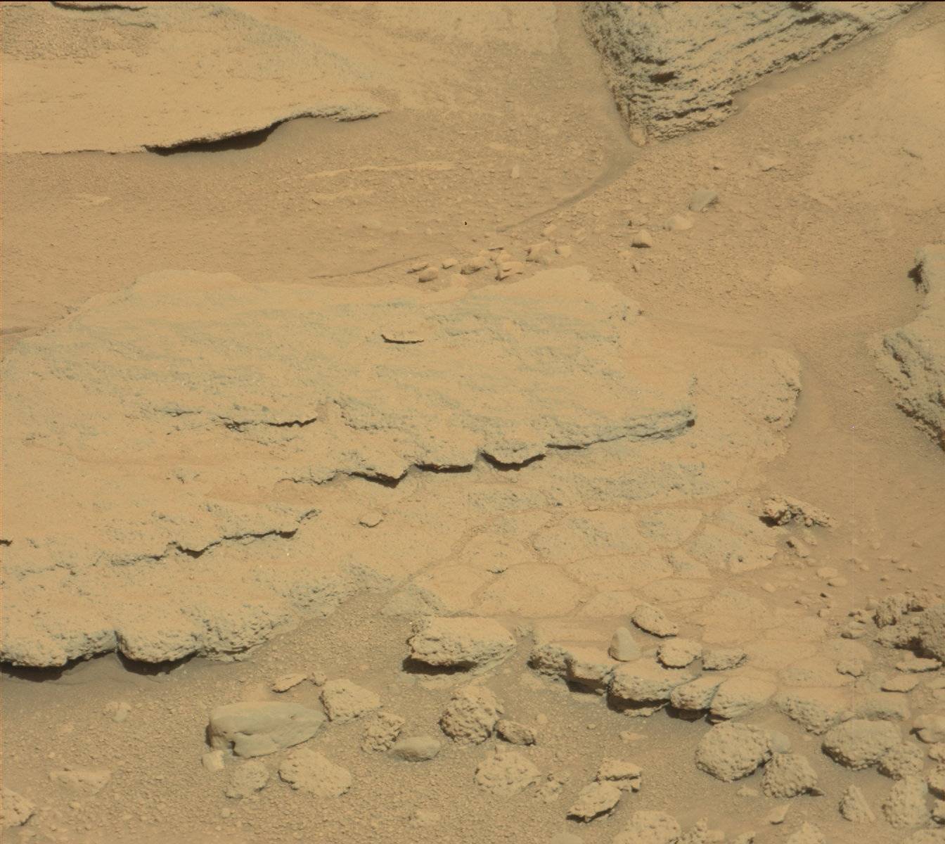 Nasa's Mars rover Curiosity acquired this image using its Mast Camera (Mastcam) on Sol 602